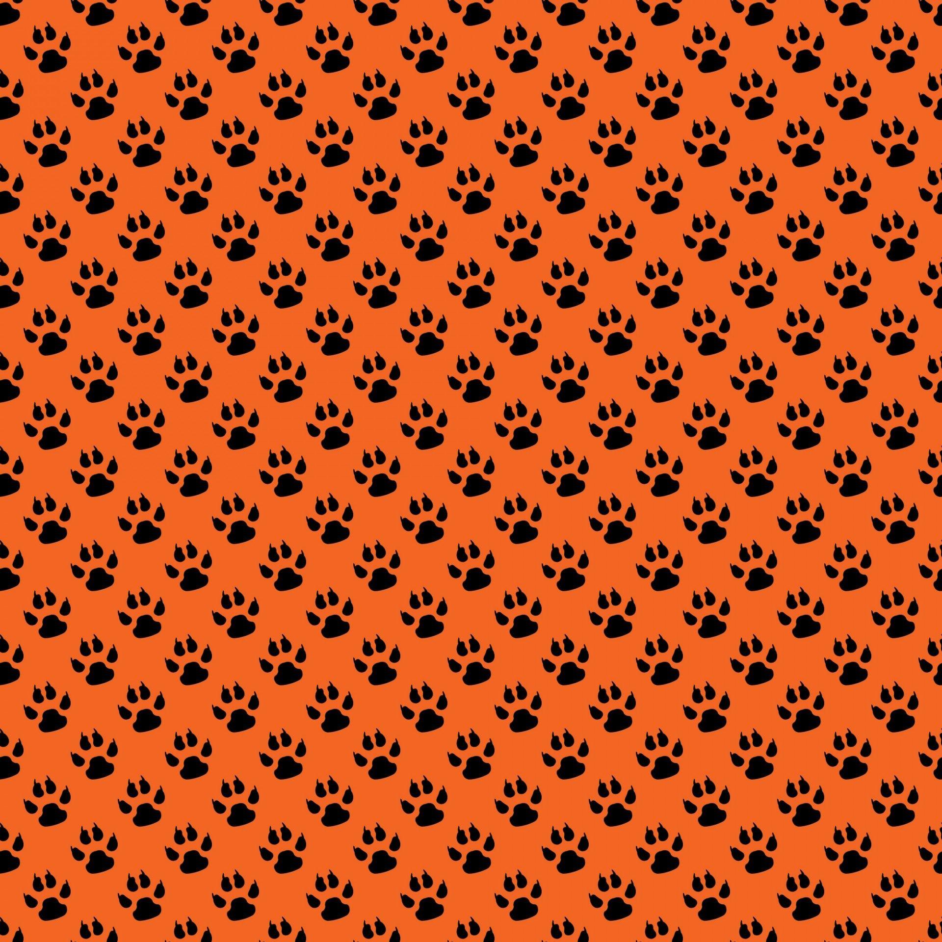 1920x1920 Paw Computer Wallpaper, HD Paw Computer Background