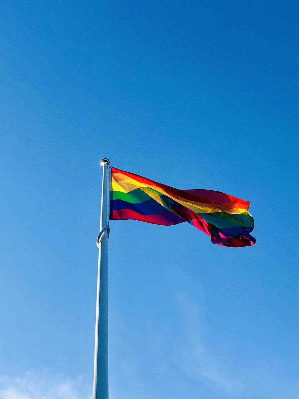 1000x1333 Gay Flag Picture [HD]. Download Free Image