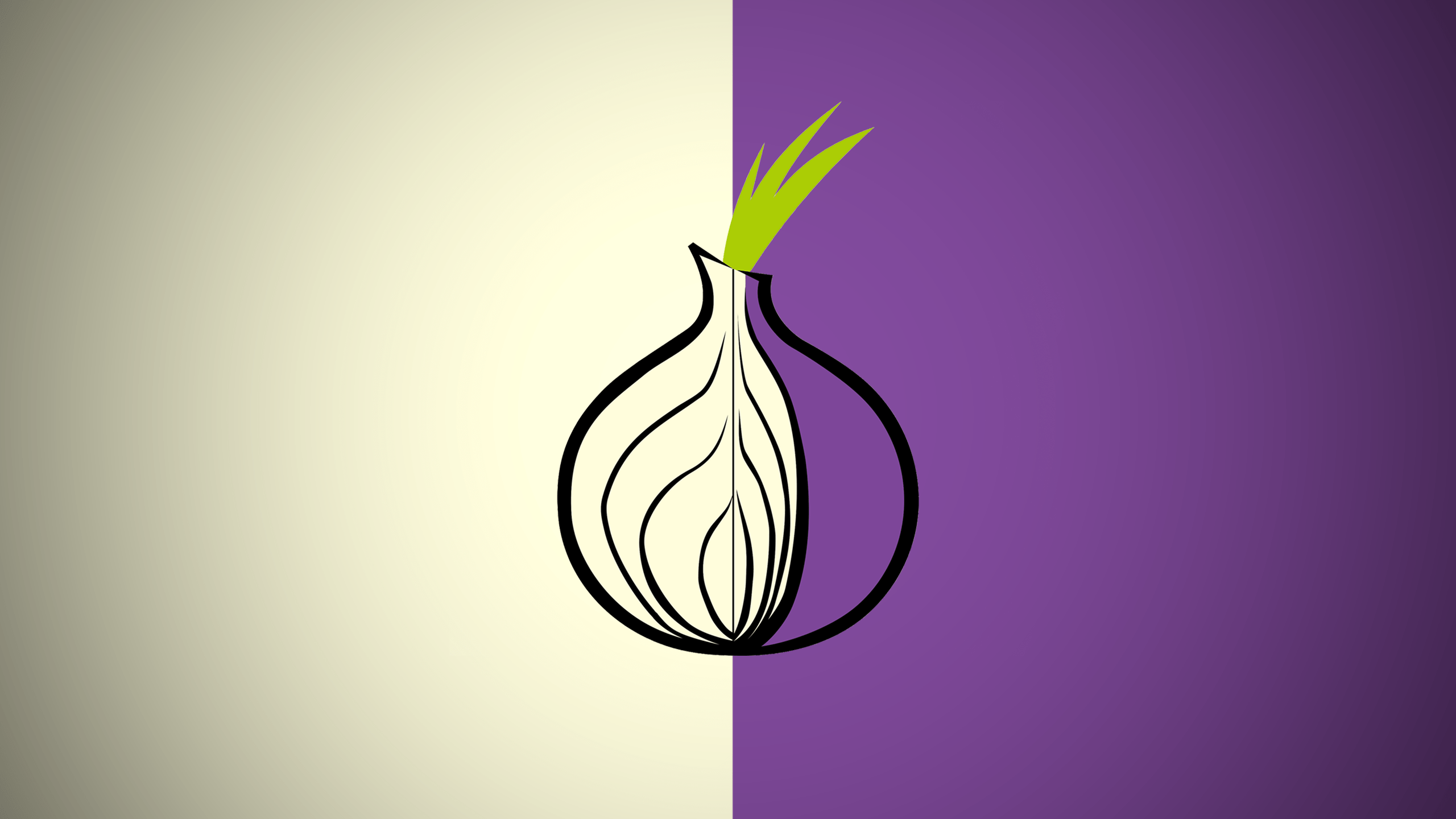 2560x1440 Tor Browser Wallpaper