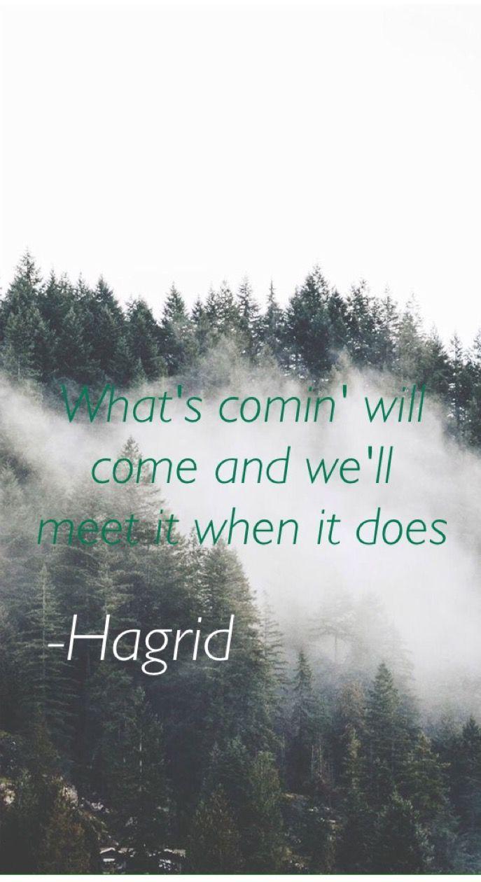 687x1260 What's comin will come and we'll meet it when it does- hagrid quote