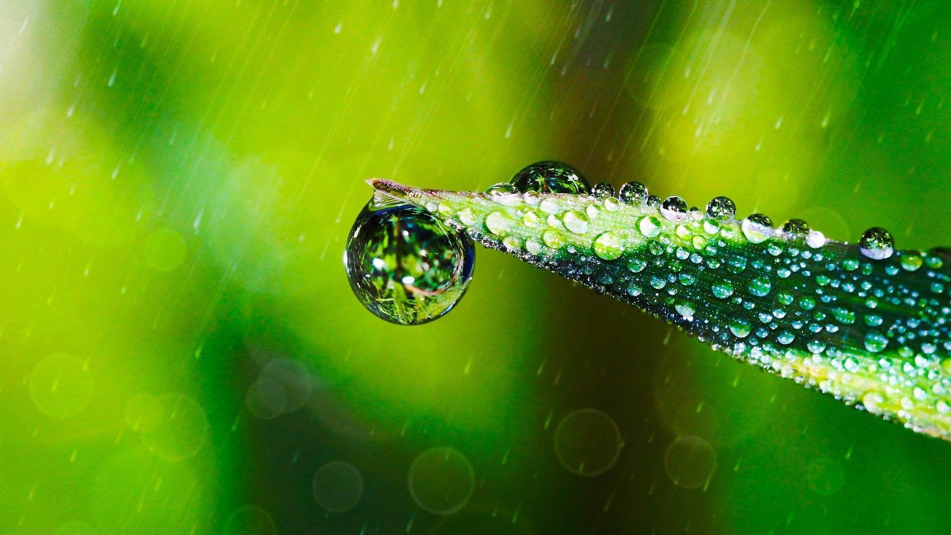 1920x1080 Eye Soothing Wallpaper