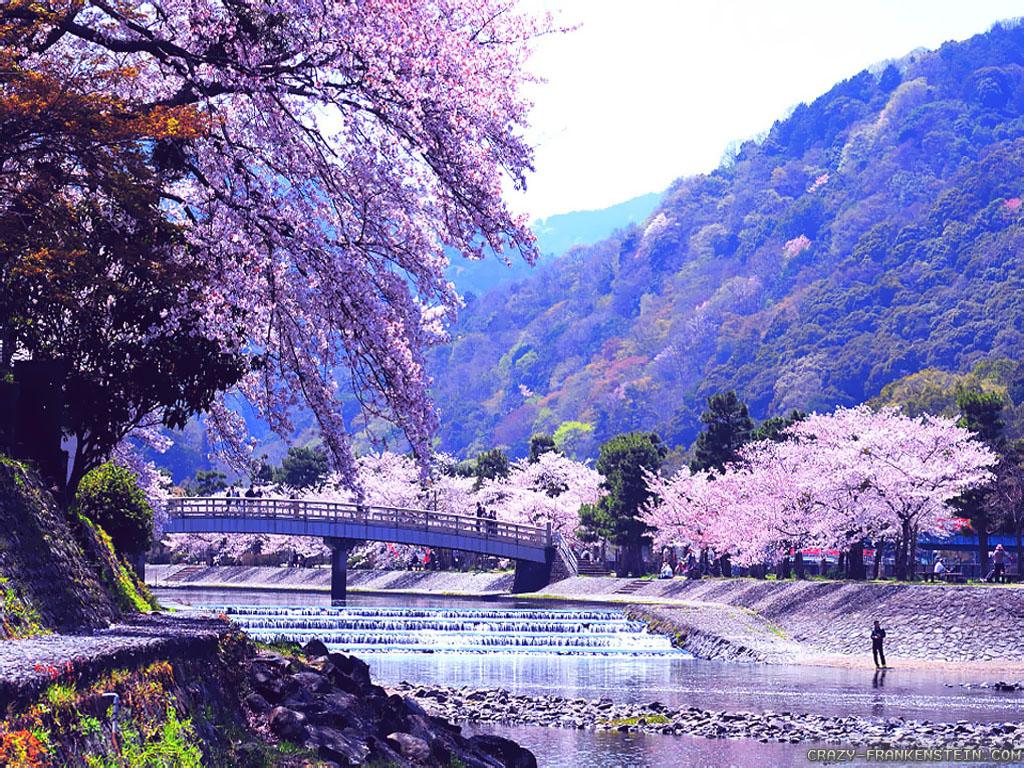 1024x768 Japanese HD Wallpaper