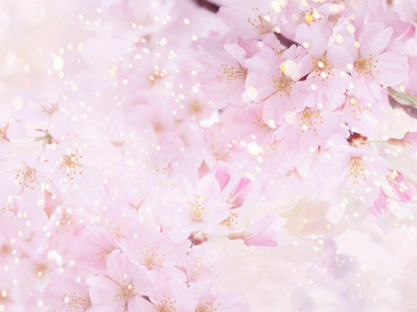 1400x1050 Beautiful Floral Background