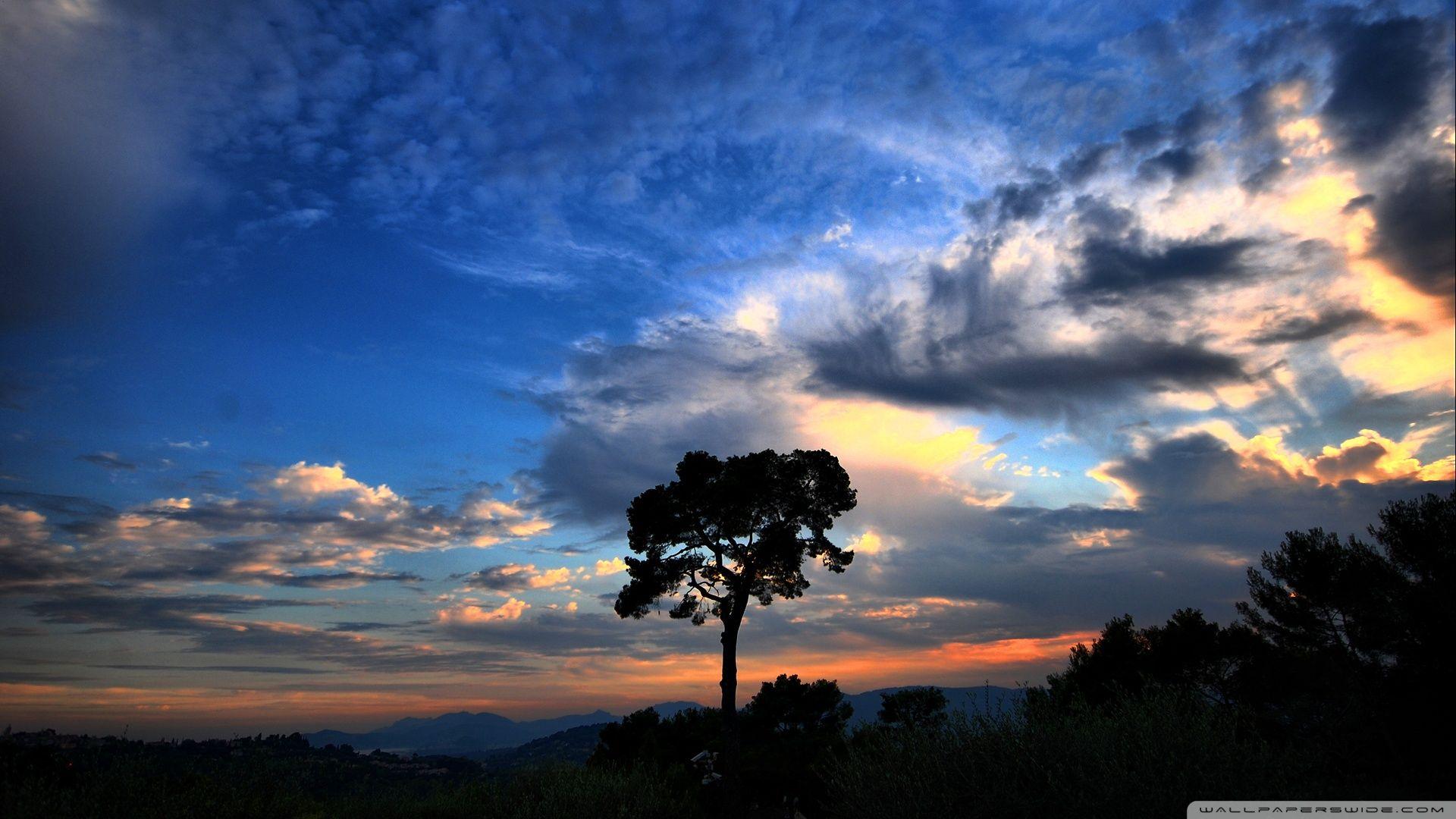 1920x1080 National Geographic Mobile Wallpaper HD