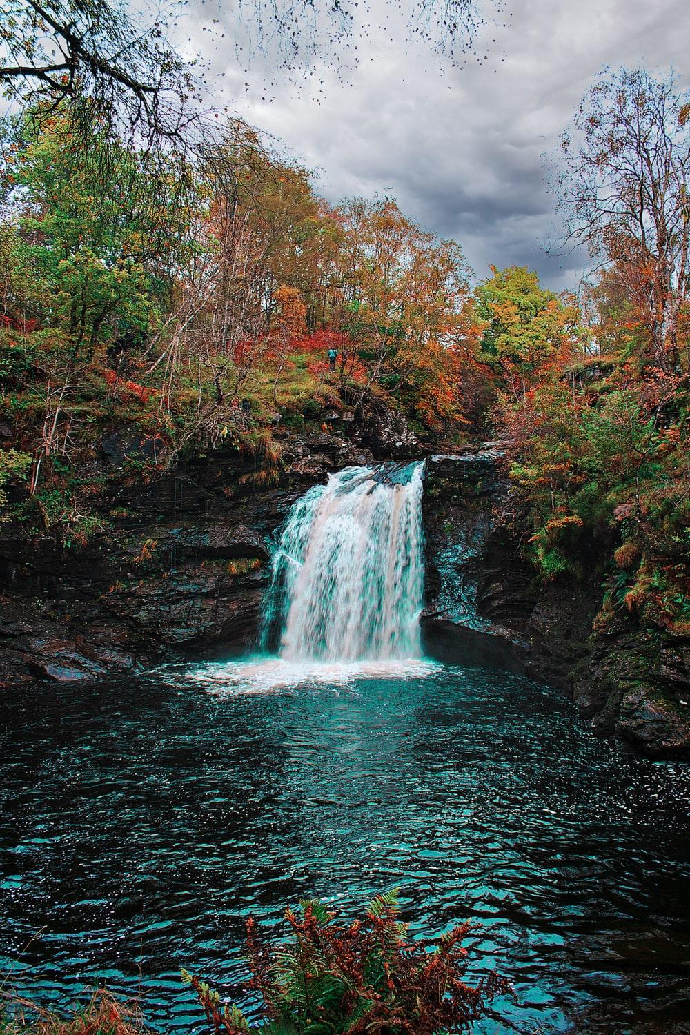 1000x1500 National Geographic Picture [HD]. Download Free Image