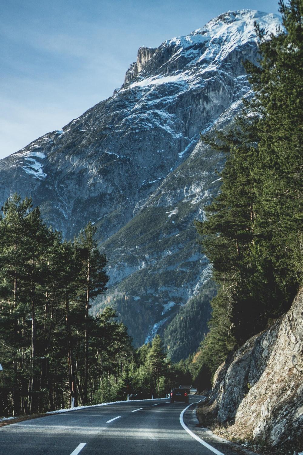 1000x1500 National Geographic Picture [HD]. Download Free Image