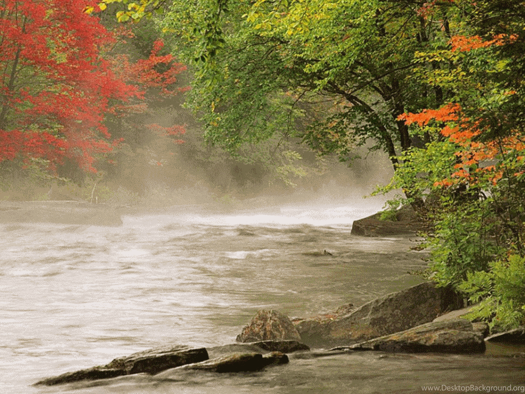 1024x768 Amazing Nature Wallpaper National Geographic Wallpaper 7896451. Desktop Background