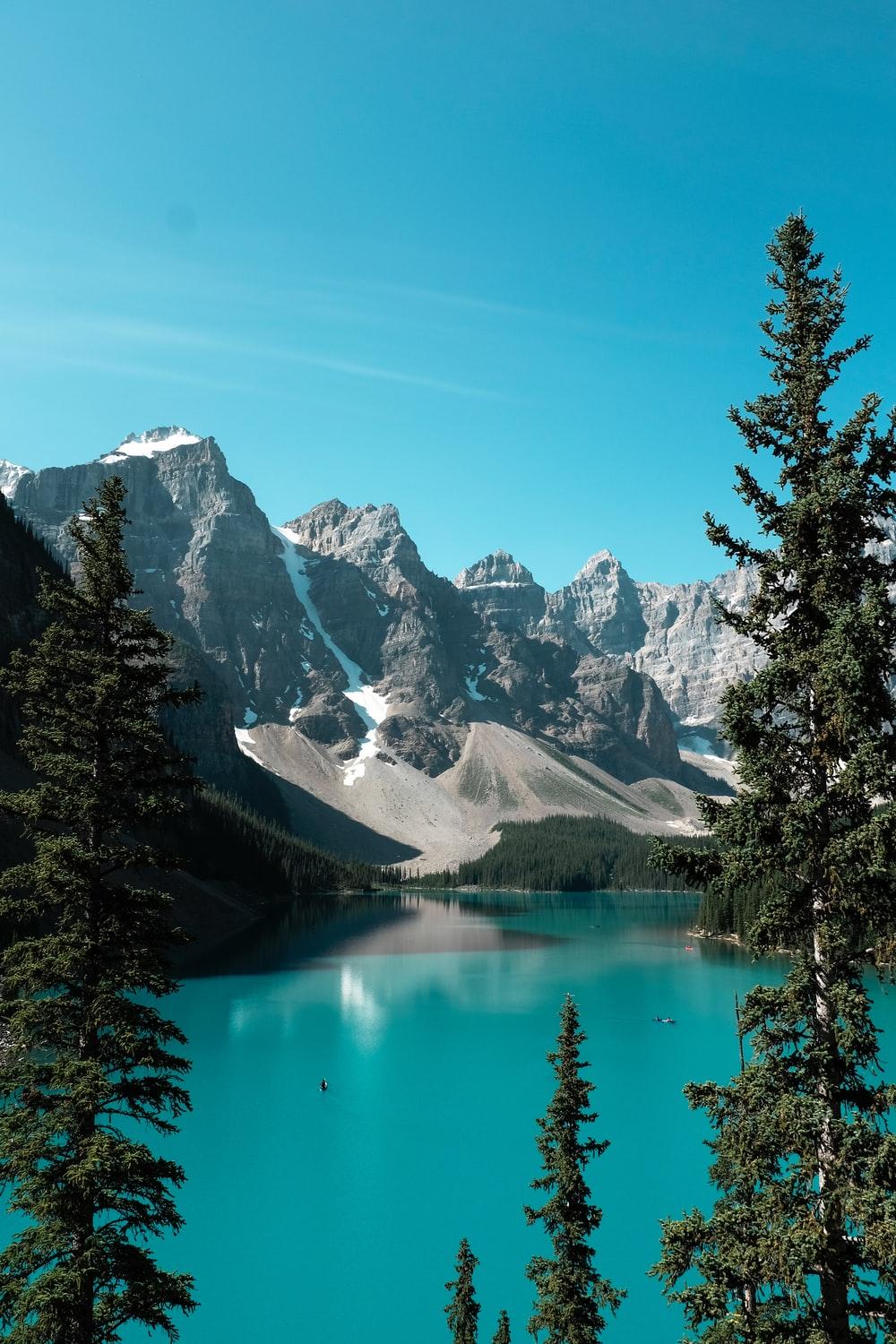 1000x1500 National Geographic Picture [HD]. Download Free Image