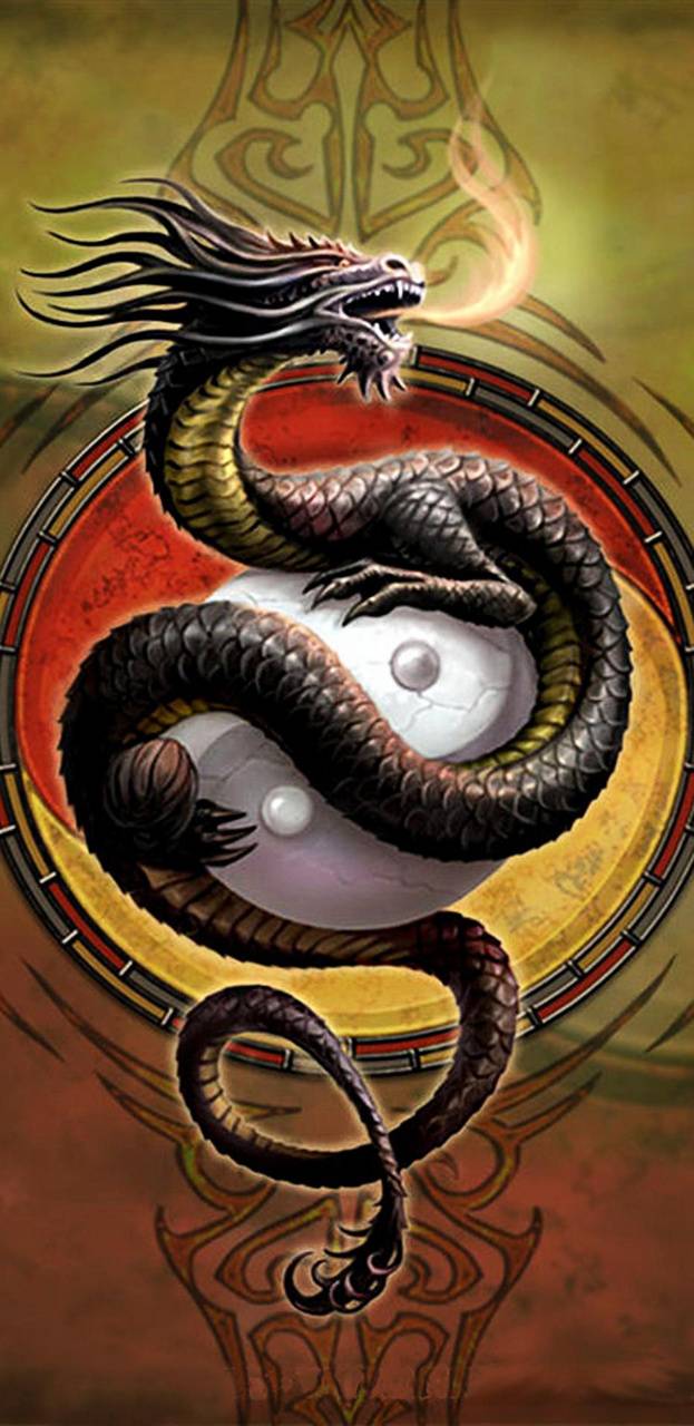 623x1280 Dragon Yin And Yang Wallpaper
