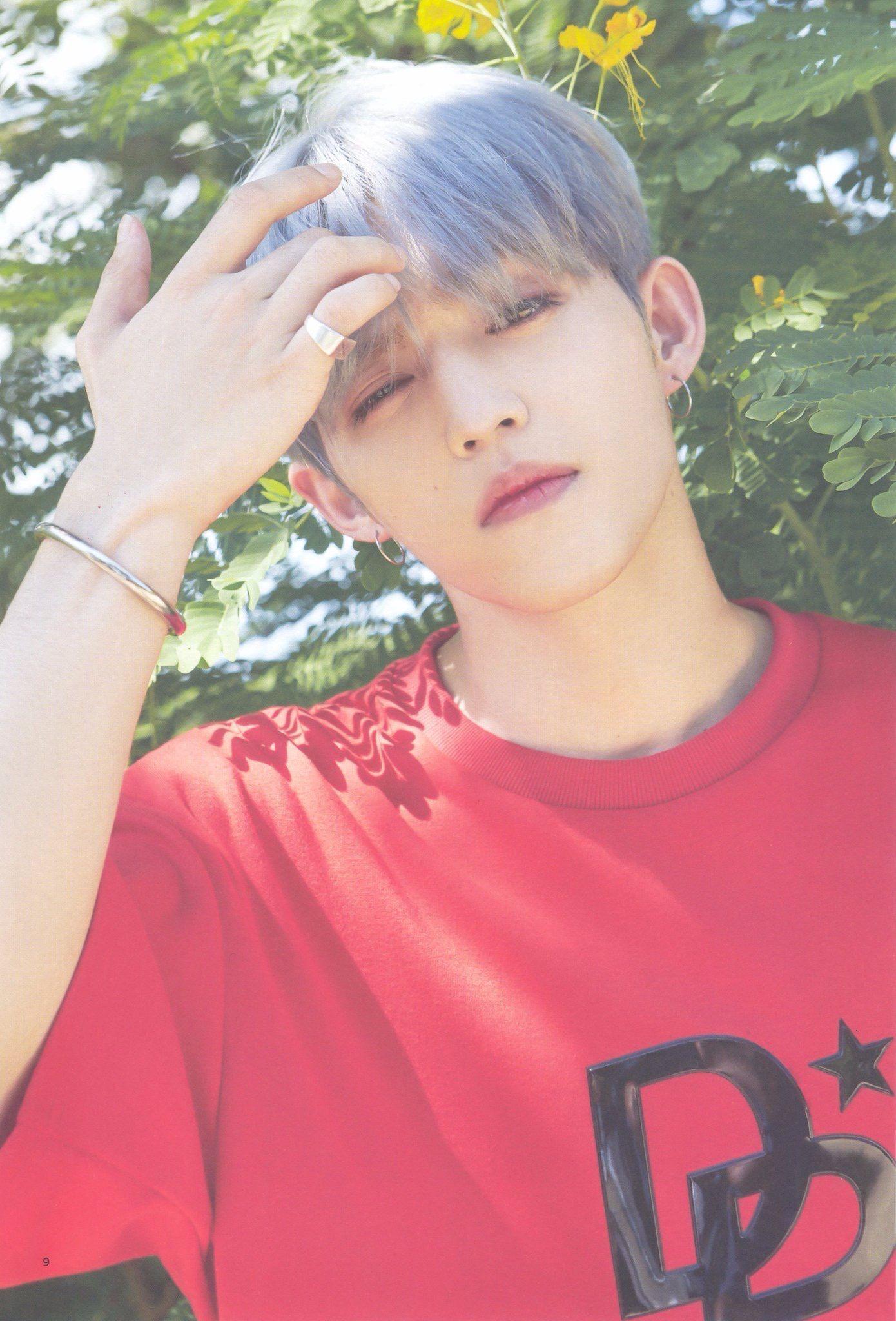 1390x2048 Awesome S.coups iPhone Wallpaper
