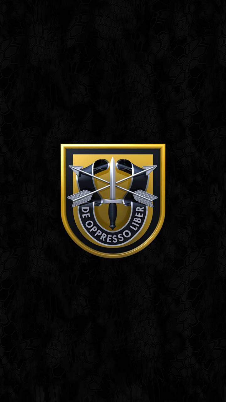 Special Forces Logo Wallpapers - Top Free Special Forces Logo Backgrounds -  WallpaperAccess
