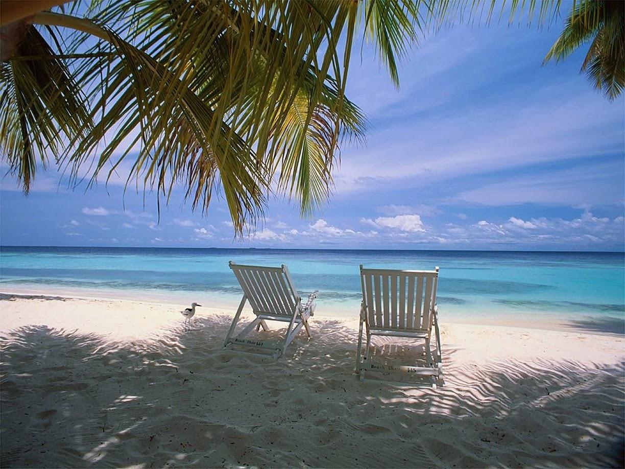 1224x918 Free download Naples Florida Jeito Milla de Viver [1224x918] for your Desktop, Mobile & Tablet. Explore Wallpaper Naples Florida. Miami Florida Wallpaper, Florida Beach Wallpaper Desktop, Free Florida Wallpaper Scenes