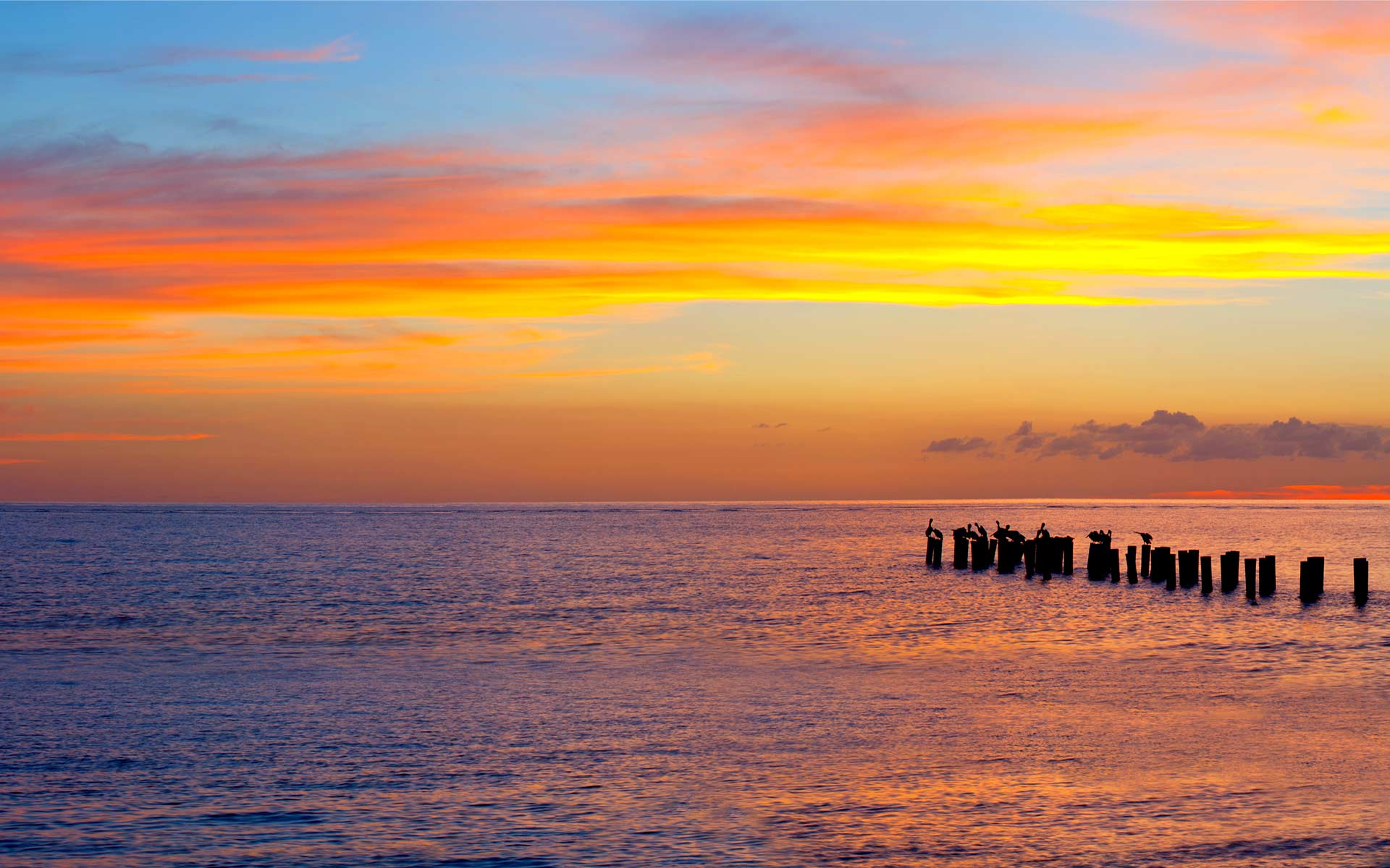 Naples Florida Wallpapers Top Free Naples Florida Backgrounds