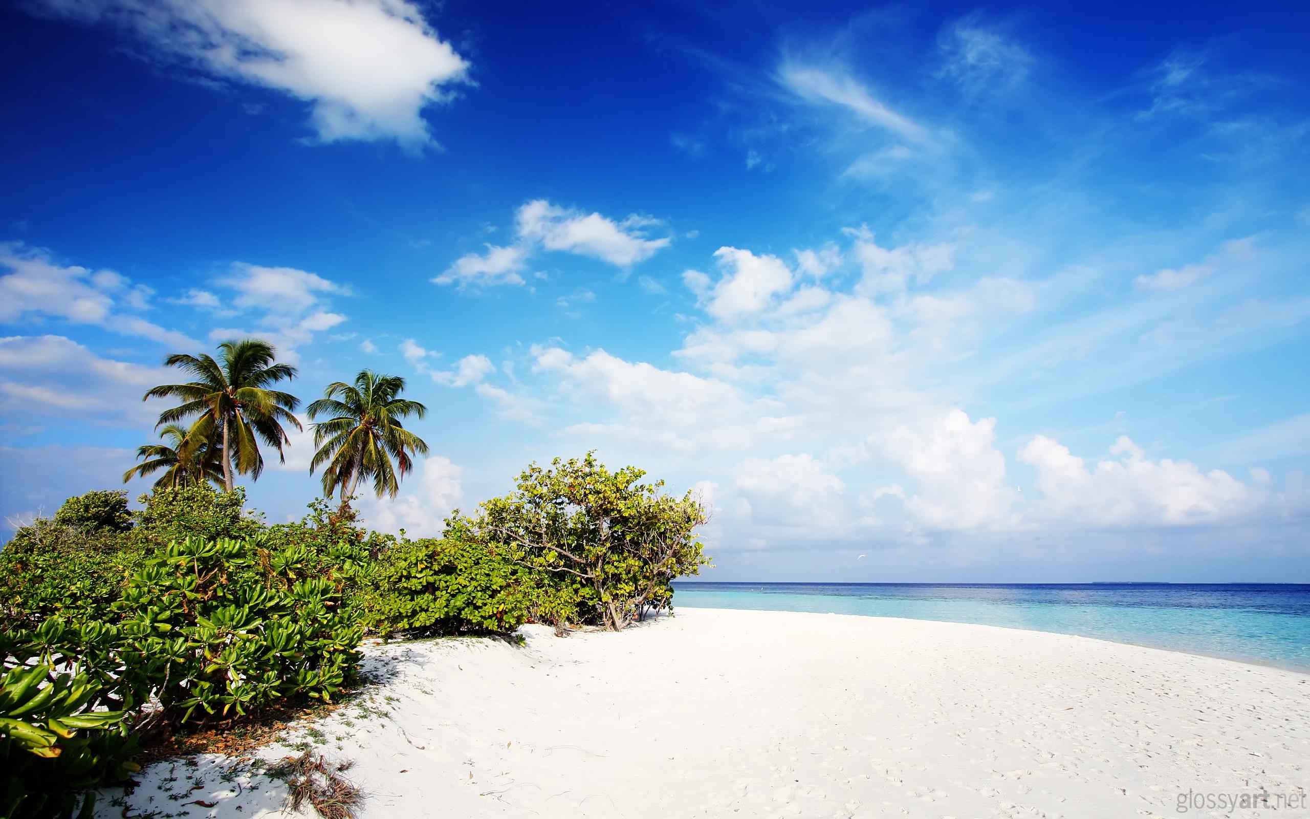2560x1600 Free download Nature Beach Wallpaper HD Wallpaper [2560x1600] for your Desktop, Mobile & Tablet. Explore Free Florida Wallpaper Scenes. Florida Scenery Wallpaper, Florida Beach Scene Wallpaper, Wallpaper Naples Florida