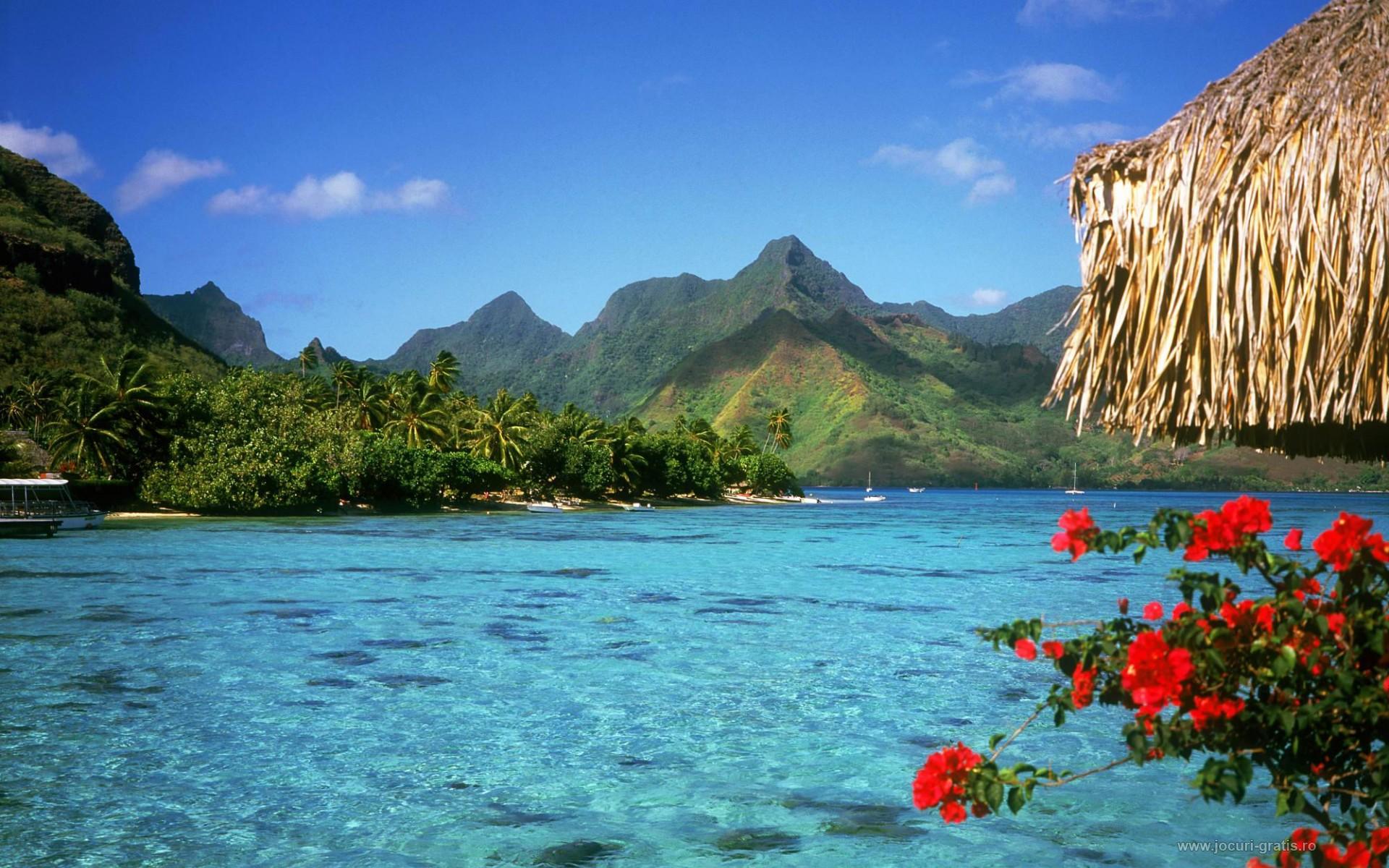 1920x1200 Bahamas wallpaperx1200