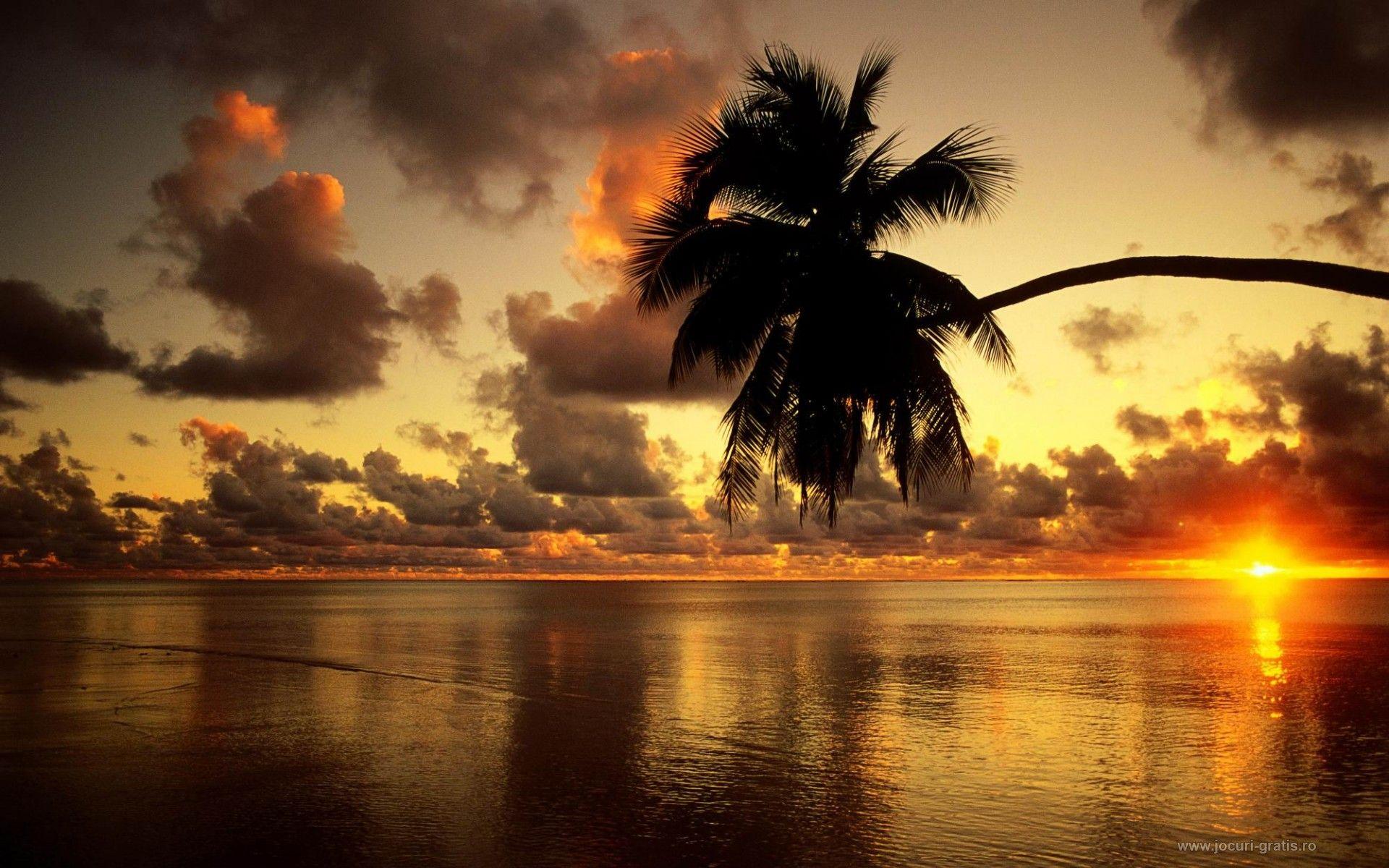 1920x1200 Bahamas. Beautiful sunrise, Sunrise beach, Beach wallpaper