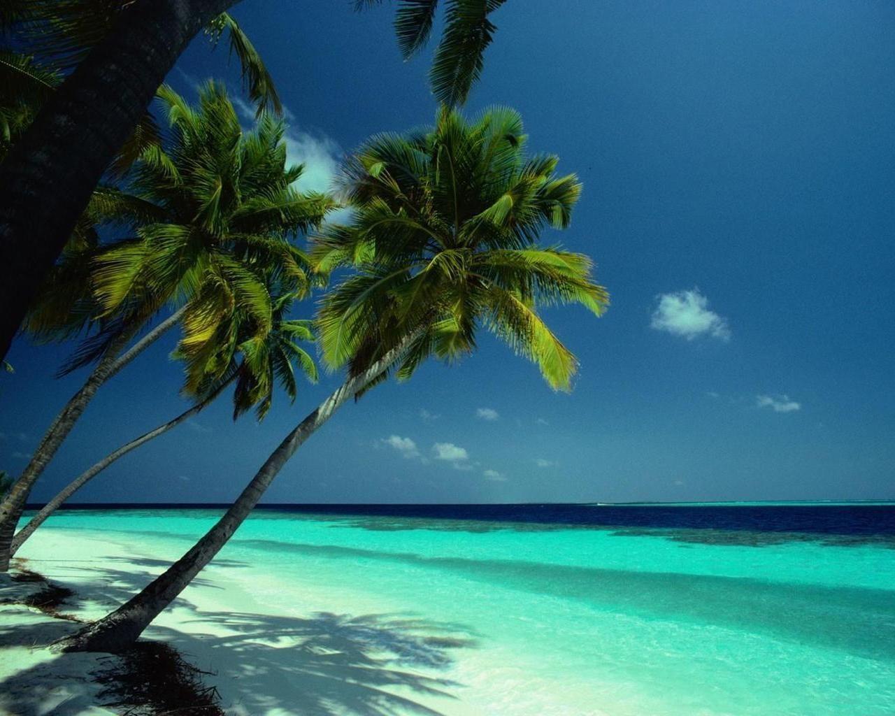 1280x1024 Bahamas Beach Wallpaper, HD Bahamas Beach Background