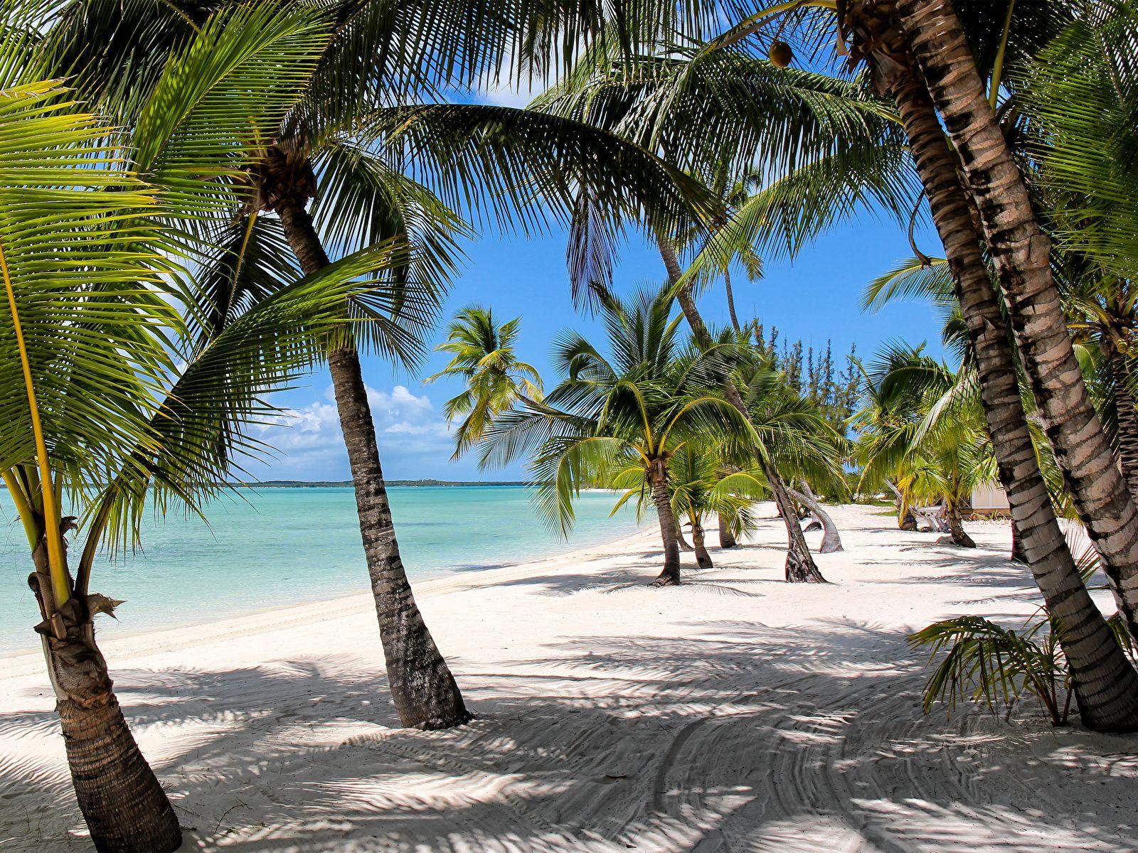 1600x1200 Bahamas Beach Wallpaper, HD Bahamas Beach Background