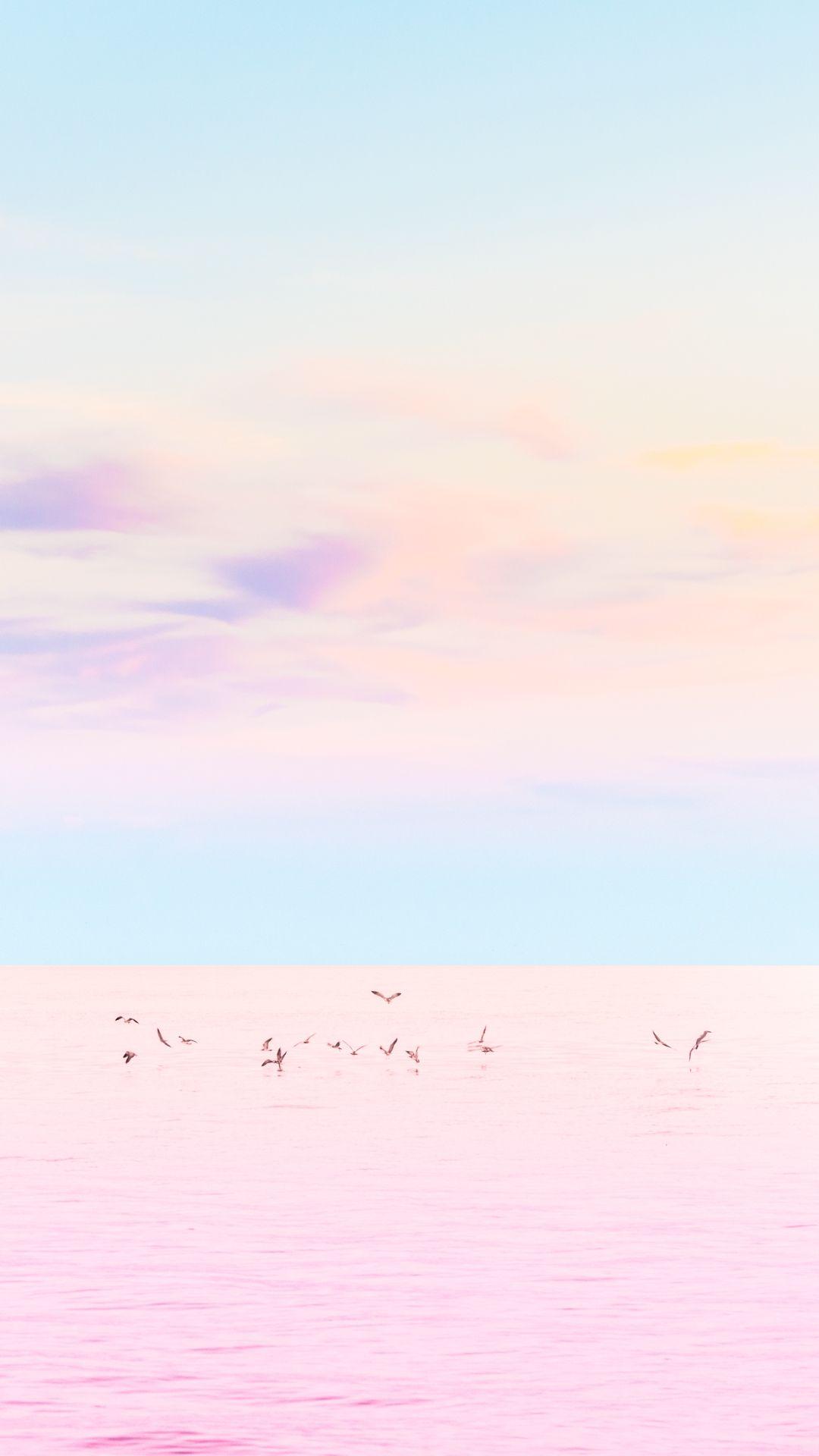 1080x1920 Birds At Sea Pastel Pink IPhone 6 Plus HD Wallpape IPhone 6 6S 7