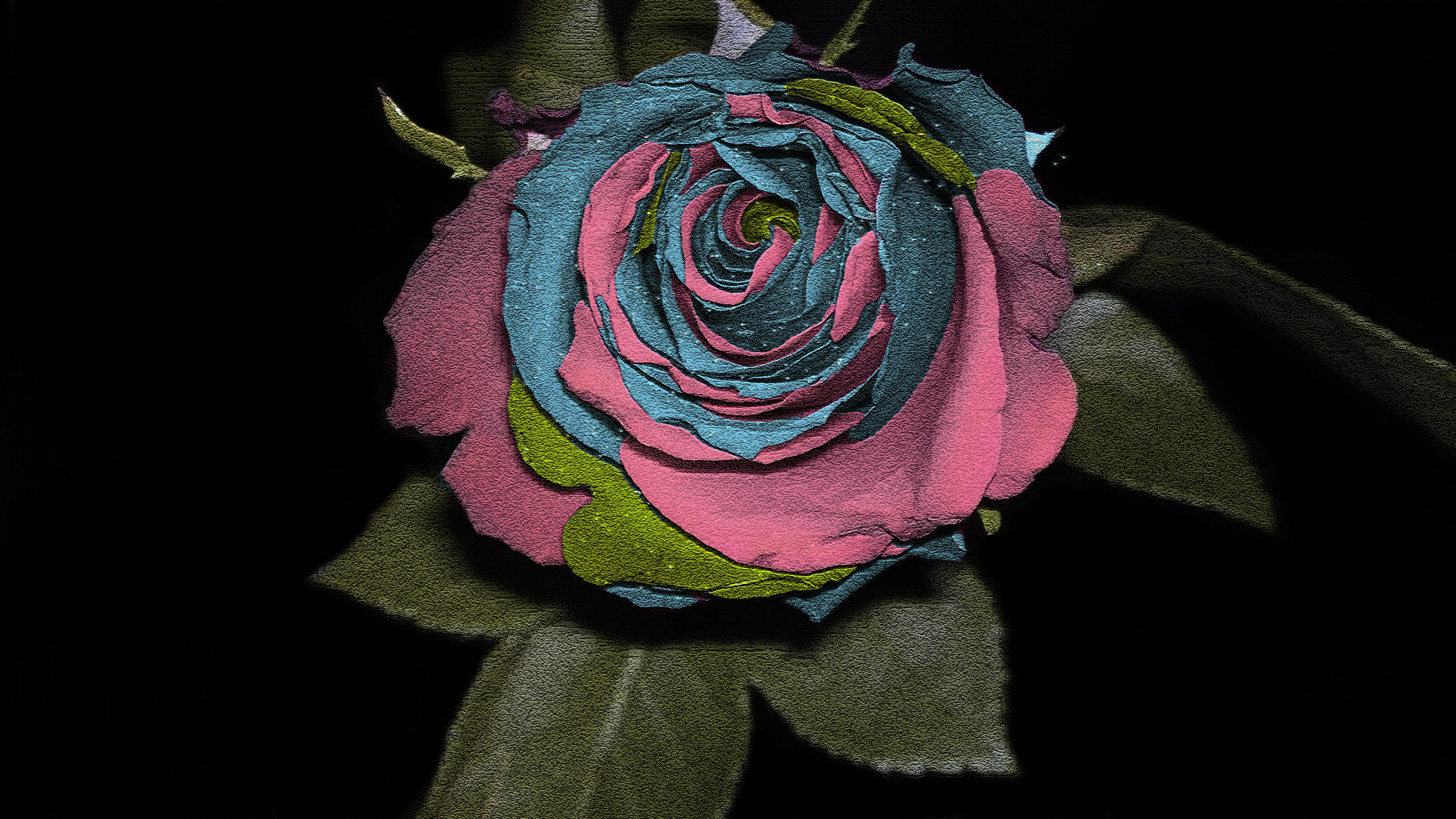 4000x2250 Dark Pink Rose Wallpaper