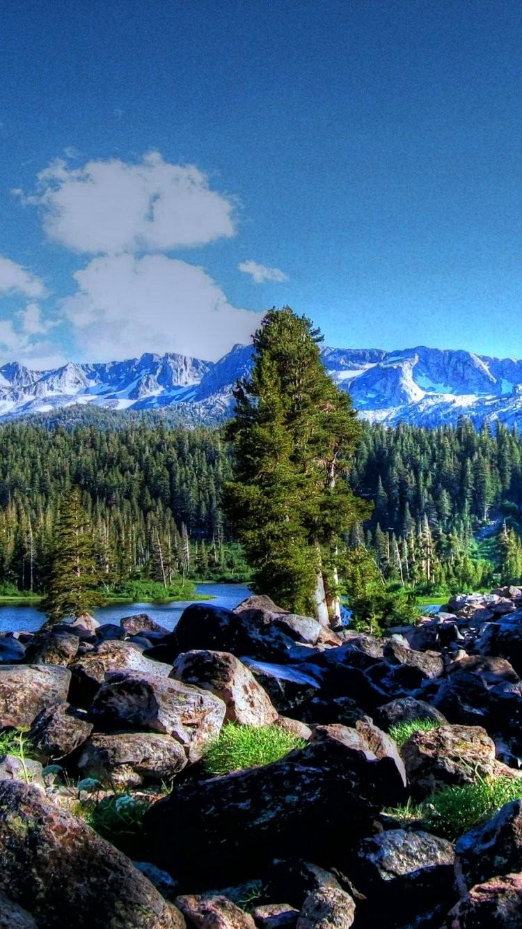 750x1334 Colorado Mountain iPhone Wallpaper