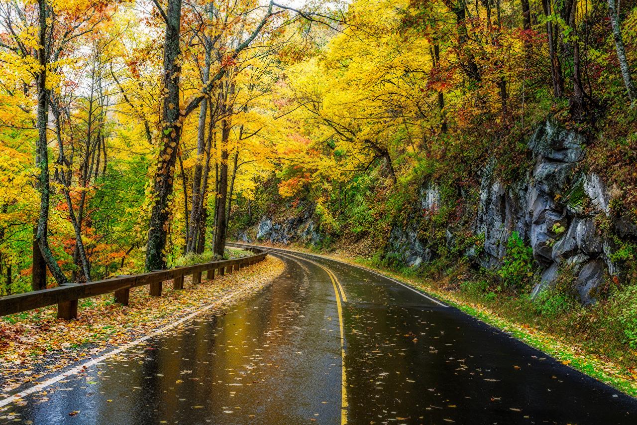 1280x853 Desktop Wallpaper USA Great Smoky Mountains Autumn Nature Roads