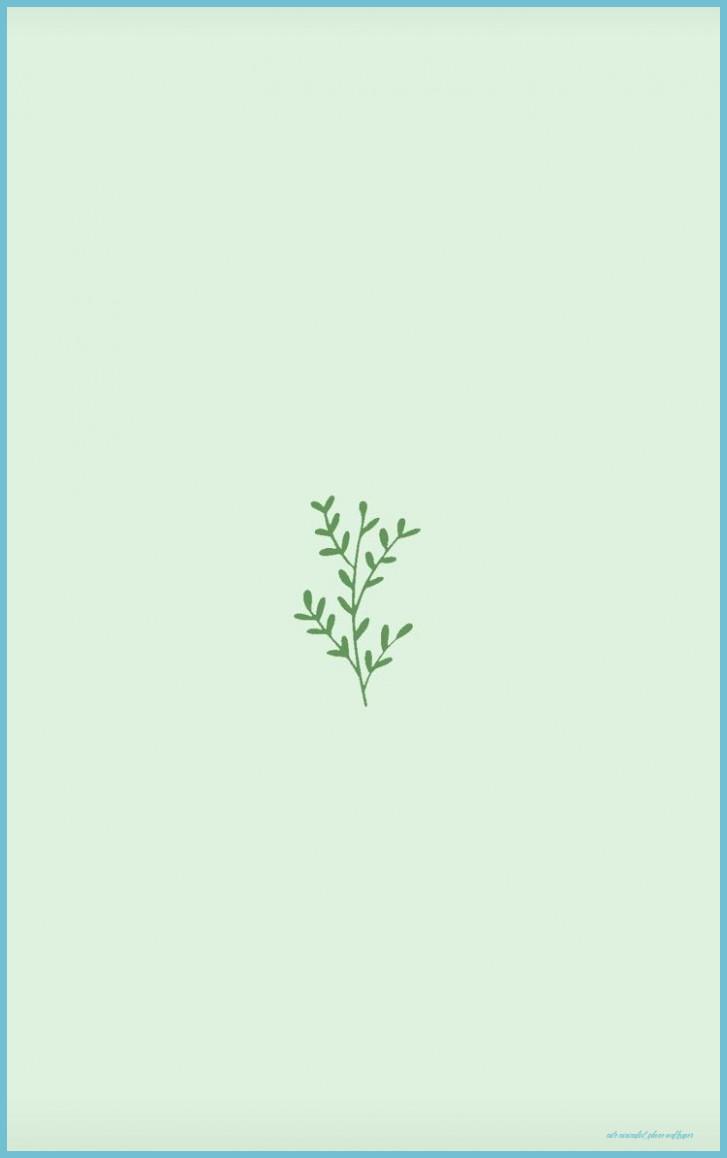 727x1158 Dam ✾