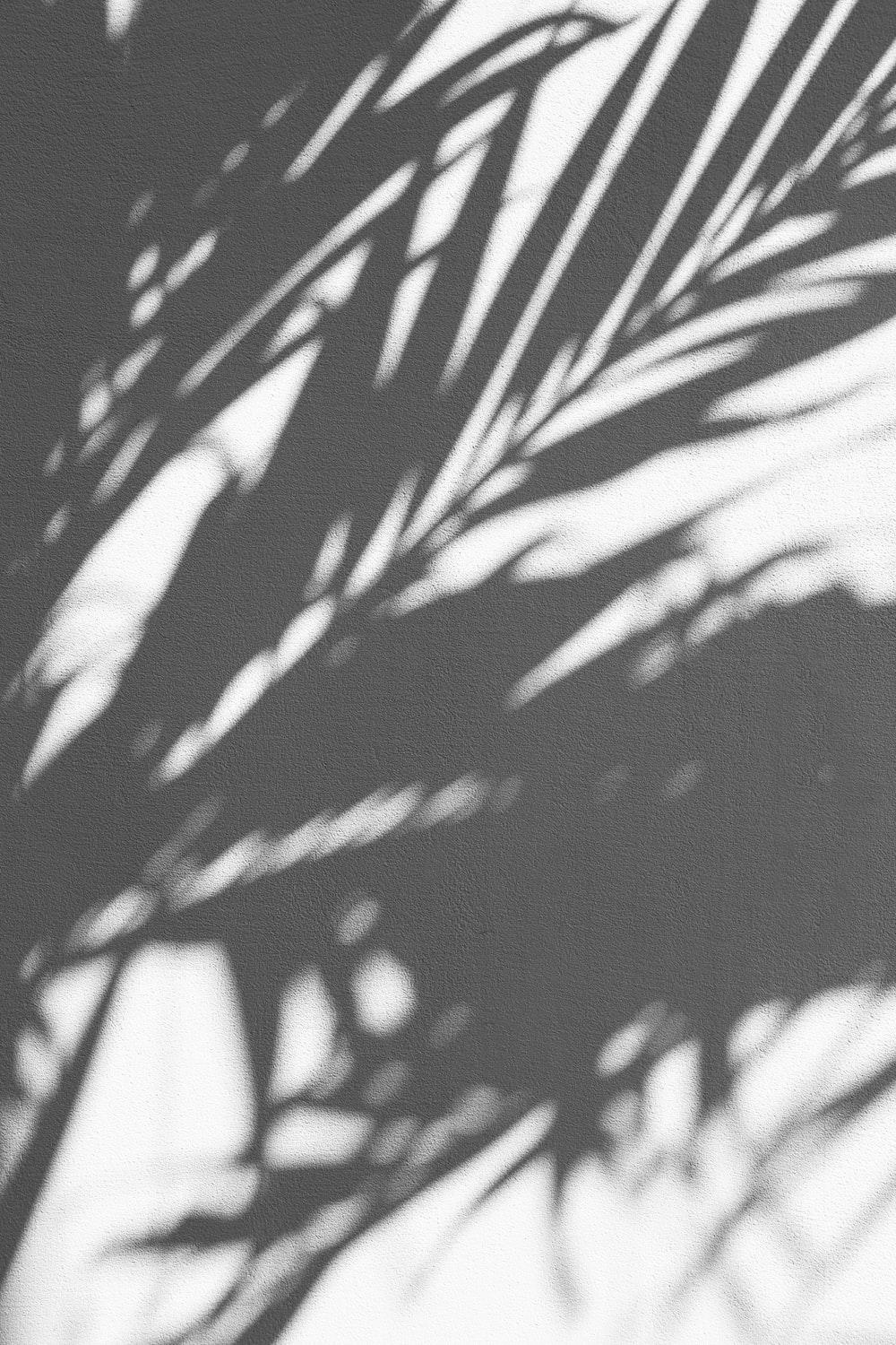 1000x1500 Black Aesthetic Picture. Download Free Image