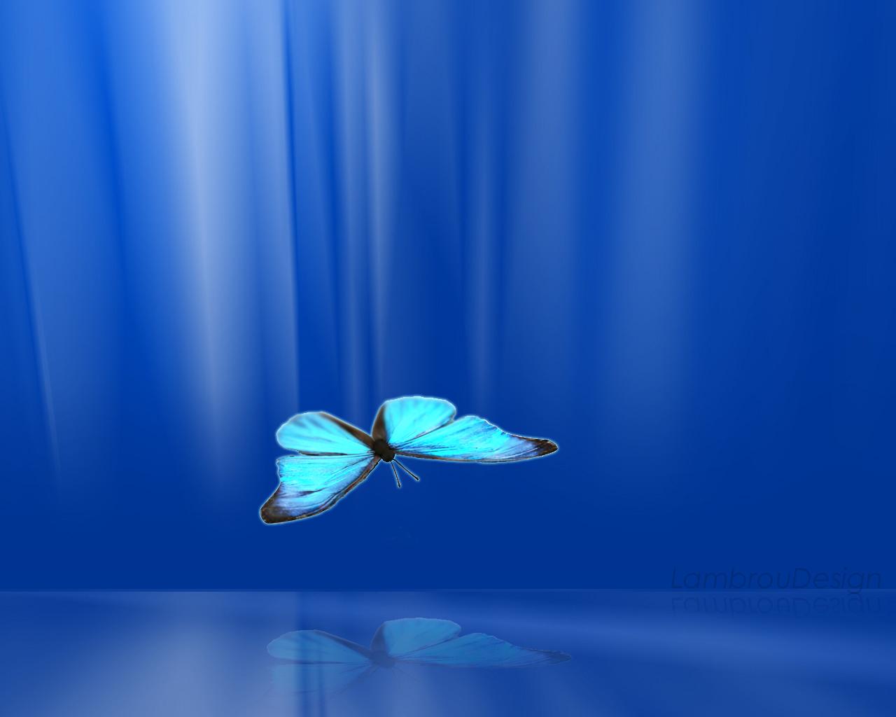 1280x1024 Wallpaper High Quality Dynamic Desktop Wallpaper Blue Wallpaper Butterfly Beautiful HD Wallpaper