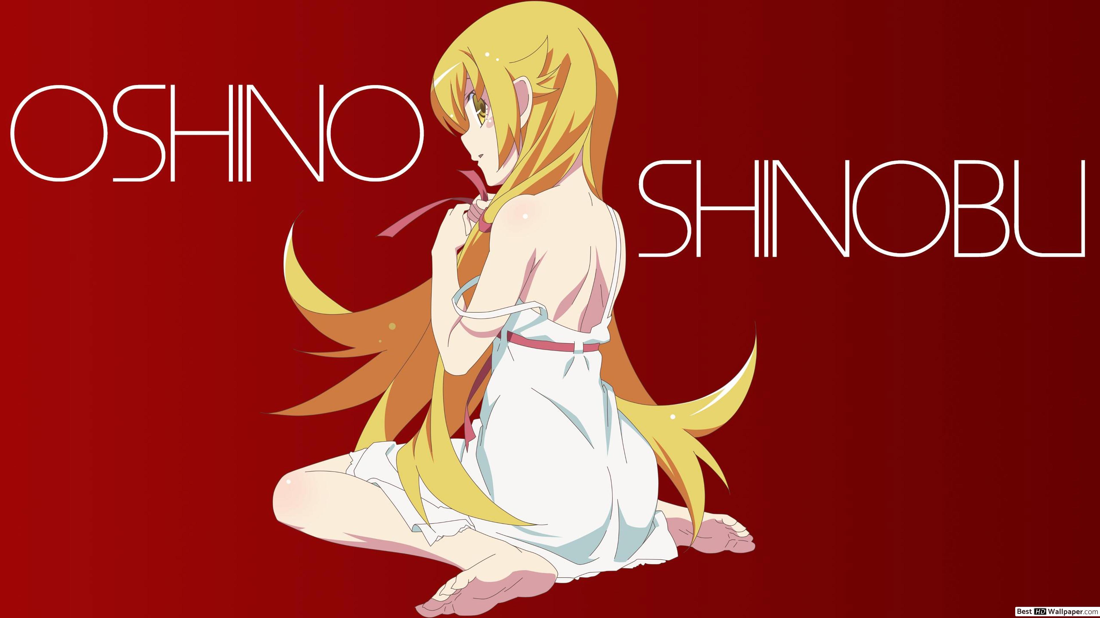 3840x2160 Oshino shinobu, Monogatari Series HD wallpaper download