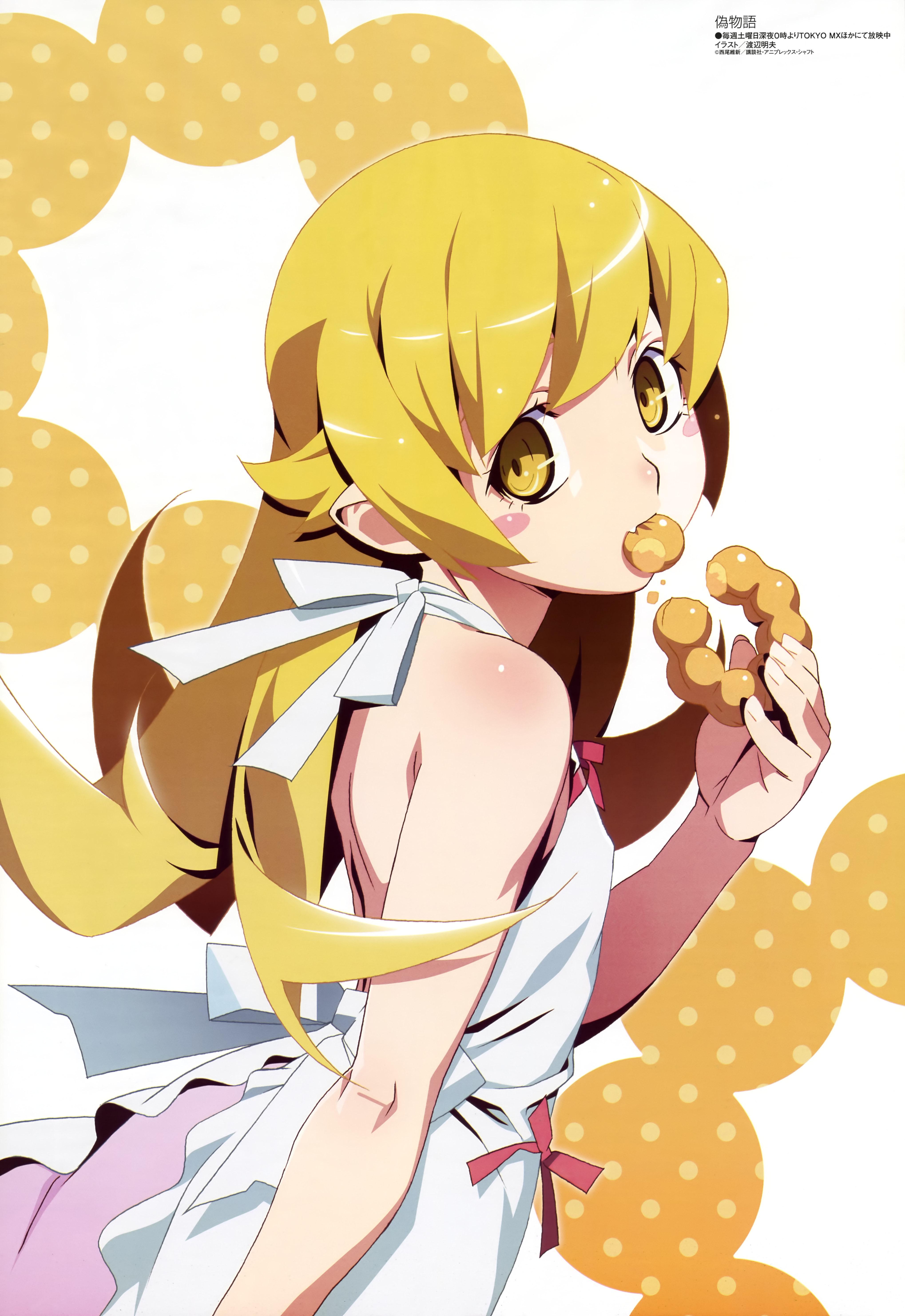 4076x5930 Shinobu Oshino and Scan Gallery