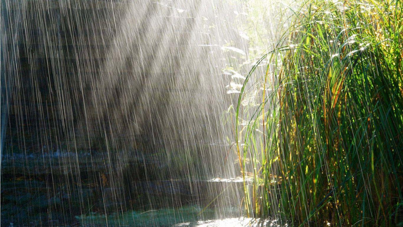 1366x768 HD Wallpaper: rain wallpaper. love wallpaper. alone wallpaper