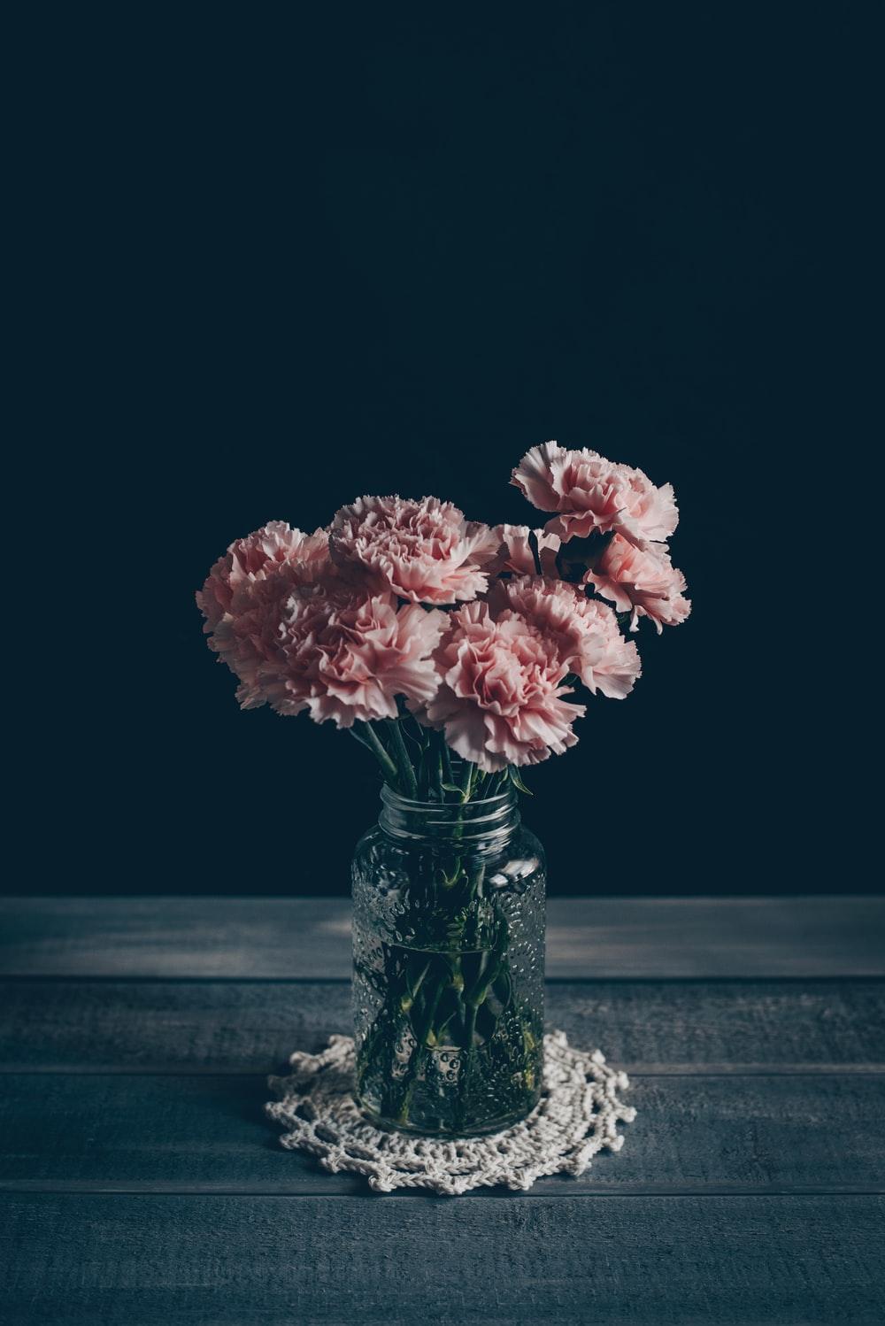 Pink Carnation Wallpapers - Top Free Pink Carnation Backgrounds