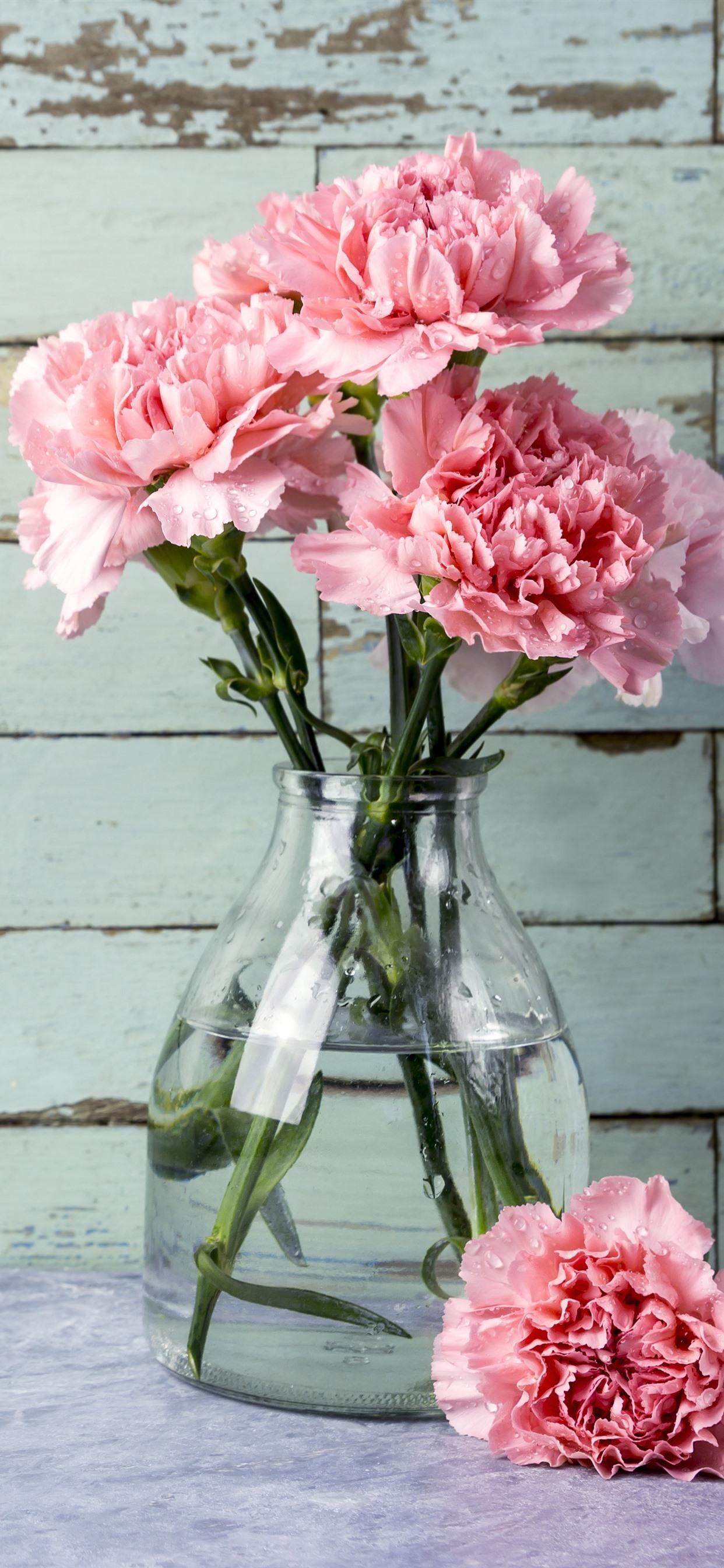 1242x2688 iPhone Wallpaper Pink Carnation, Flowers, Vase Flower In Vase
