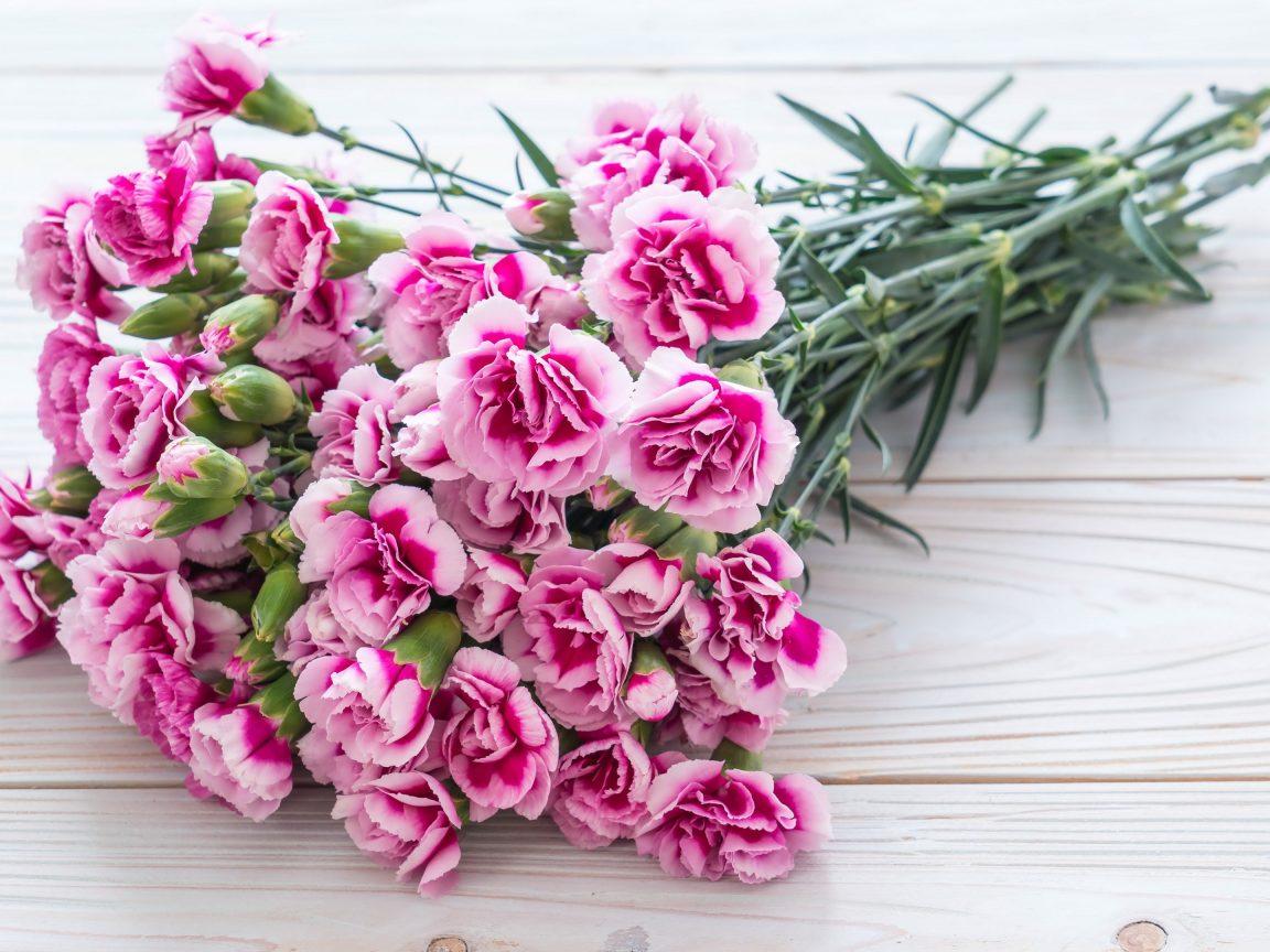 1152x864 Pink Carnation Flowers Bouquet Wallpaper, Image, Background, Picture