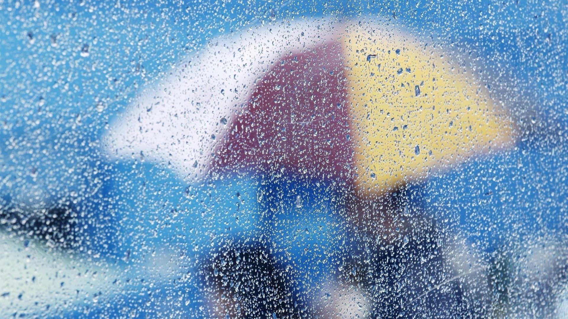 1920x1080 Drops wallpaper: Drops Up Leaves Water HD Image Wallpaper