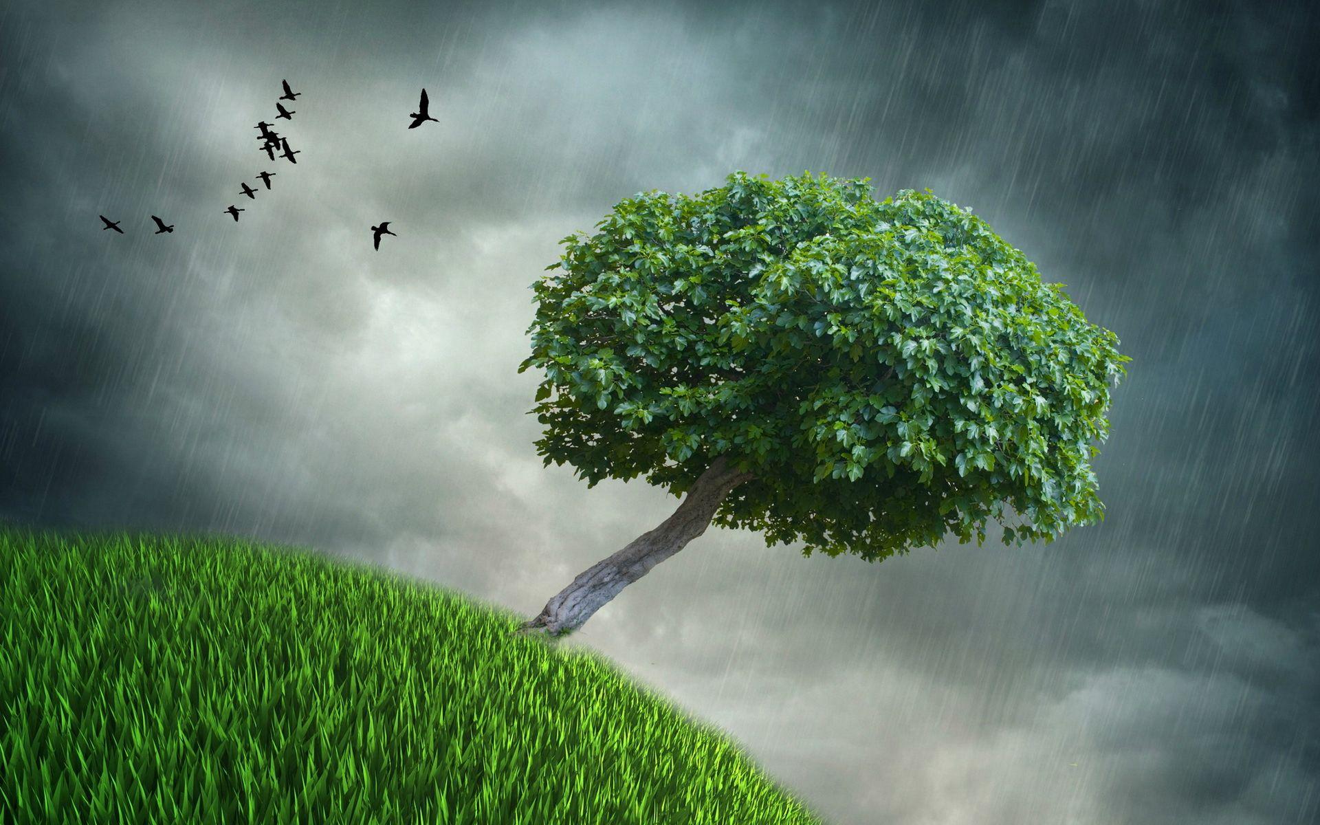 1920x1200 Spring Rain Wallpaper for Desktop