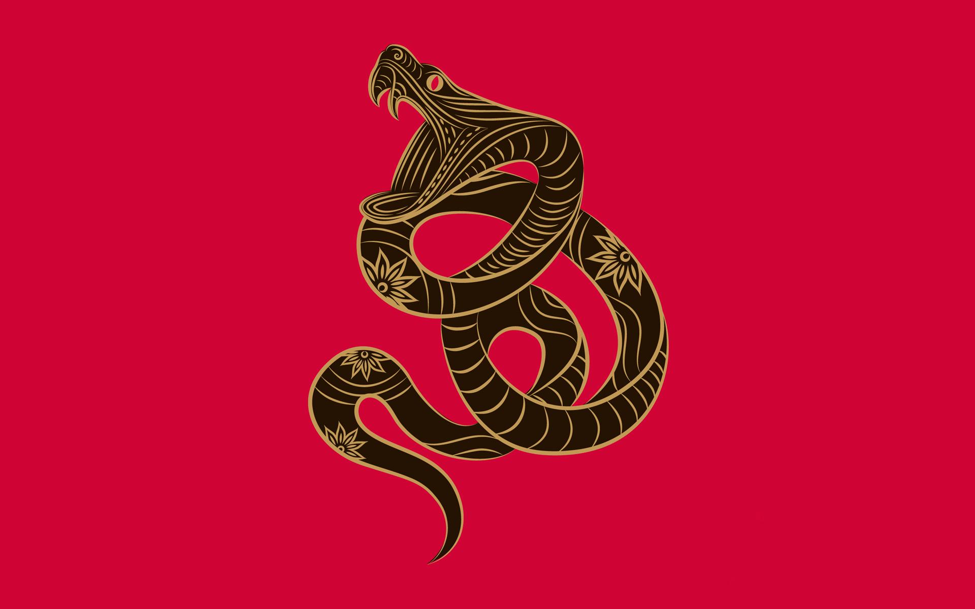 1920x1200 Chinese Zodiac Snake desktop PC and Mac wallpaper