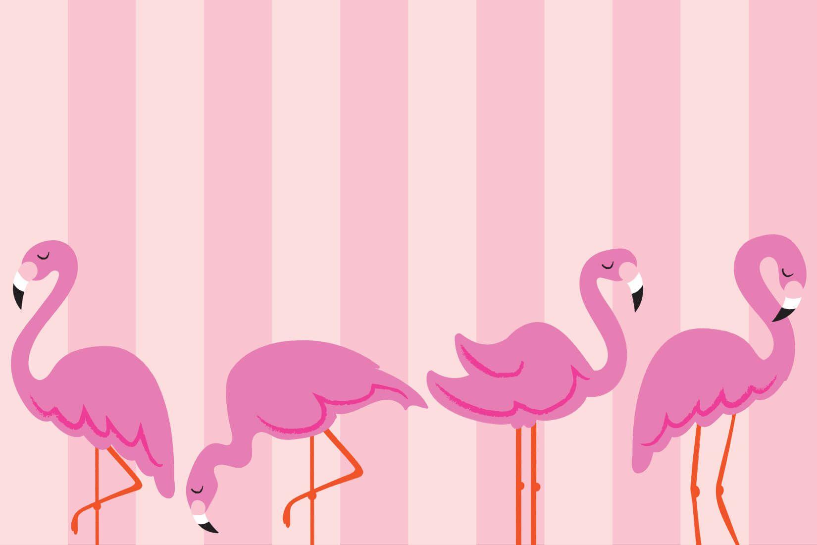1650x1100 Flamingo Pastel Wallpaper Mural. Hovia. Flamingo wallpaper, Mural, Pink wallpaper desktop