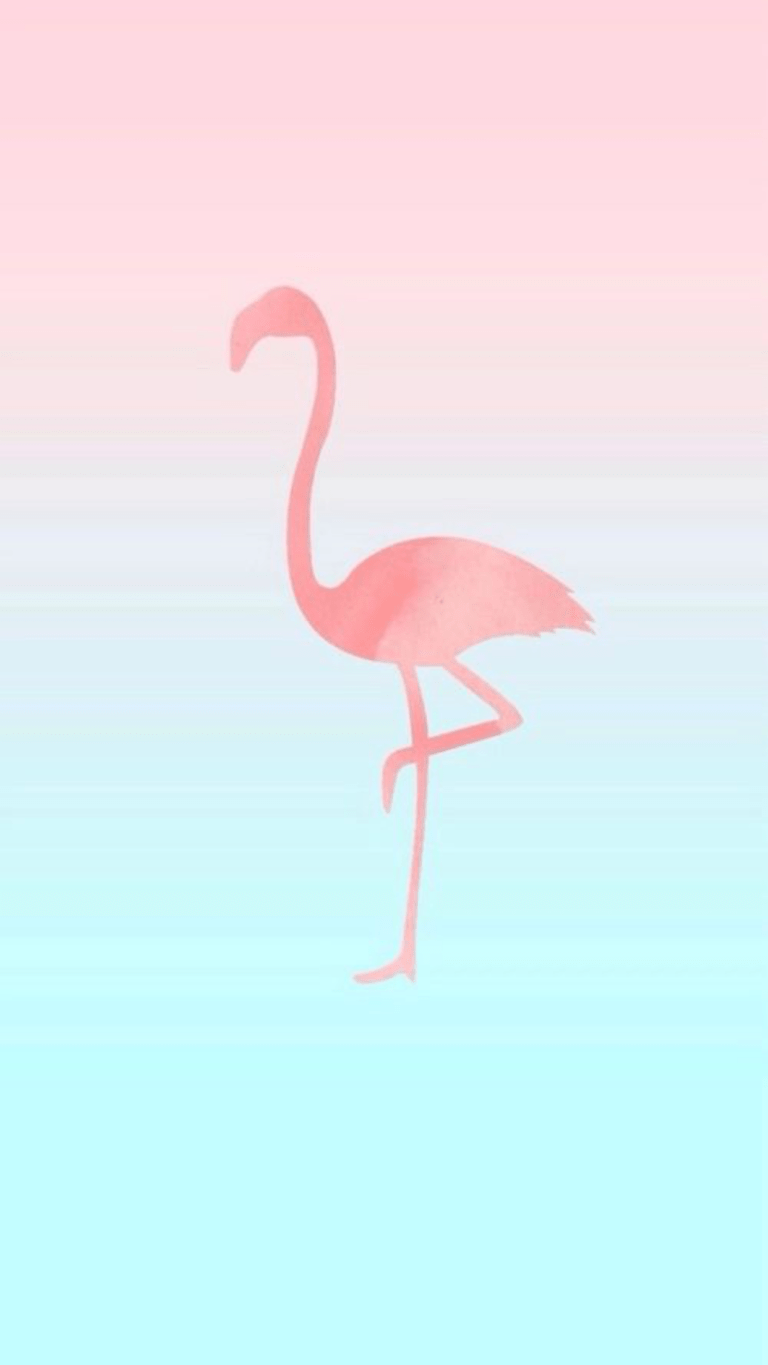 768x1365 Download Flamingo Flamingos iPhone Wallpaper Desktop Free HQ Image HQ PNG Image