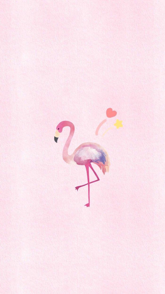700x1244 ANIMALLs. Flamingo wallpaper, iPhone background wallpaper, Cute wallpaper