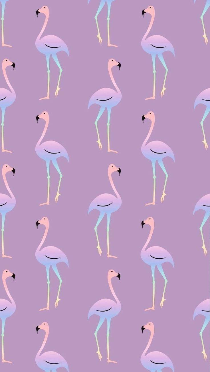 736x1306 Flamingo wallpaper *・゜ﾟ・*\(^O^)/*・゜ﾟ・*. Flamingo wallpaper, Pretty wallpaper iphone, Cute wallpaper