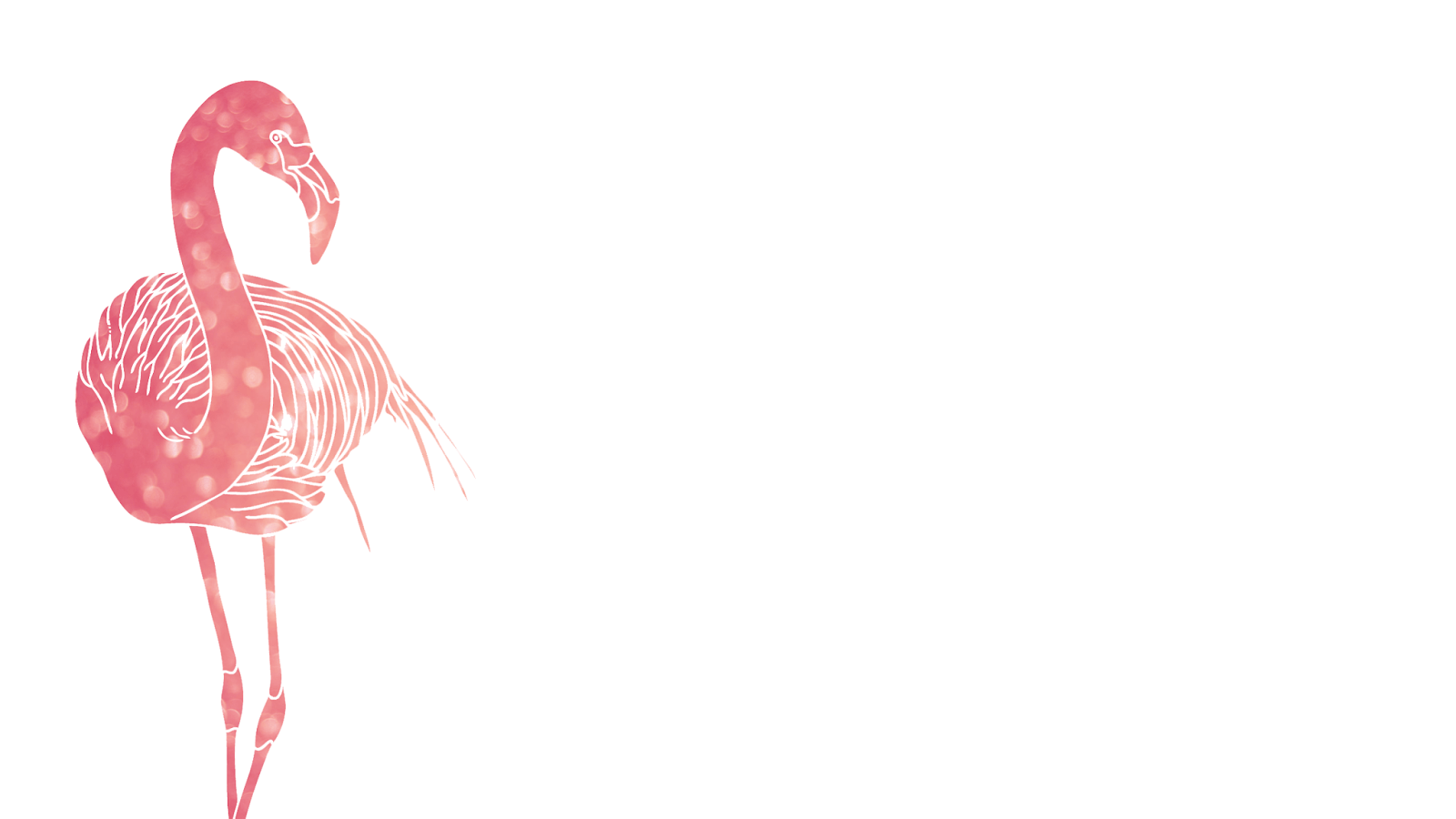 1600x900 Flamingos Wallpaper