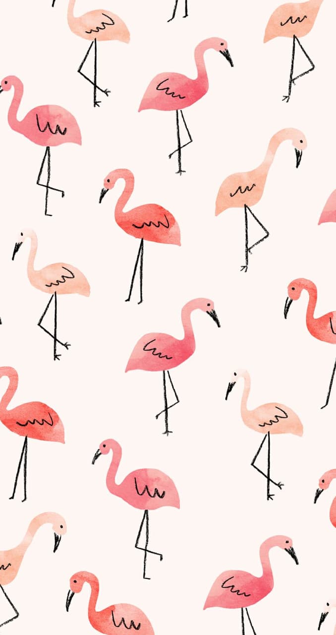 678x1280 birds, pastel and flamingo