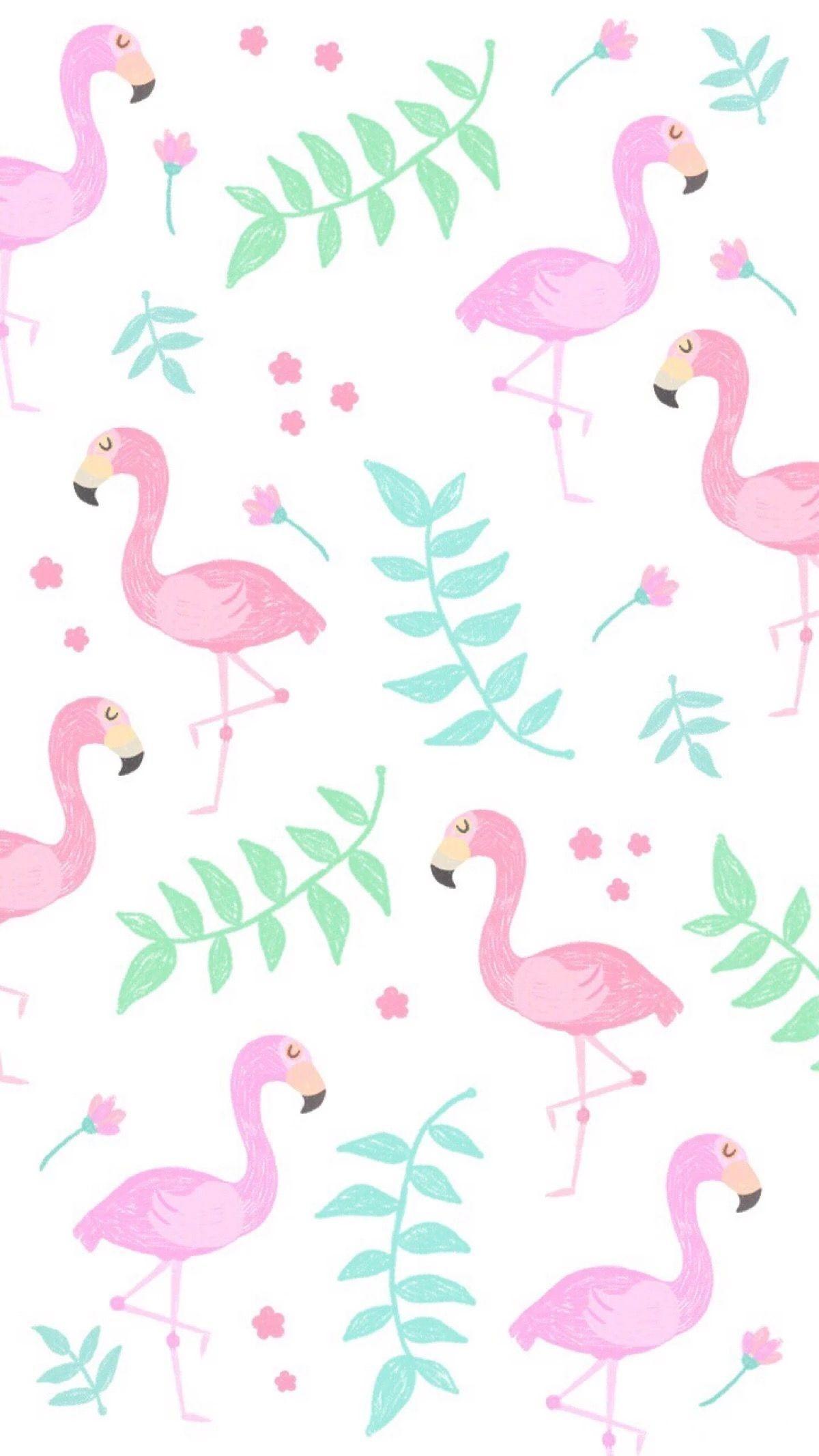 1200x2133 flamingo wallpaper b&q, flamingo, pink, bird, water bird, greater flamingo