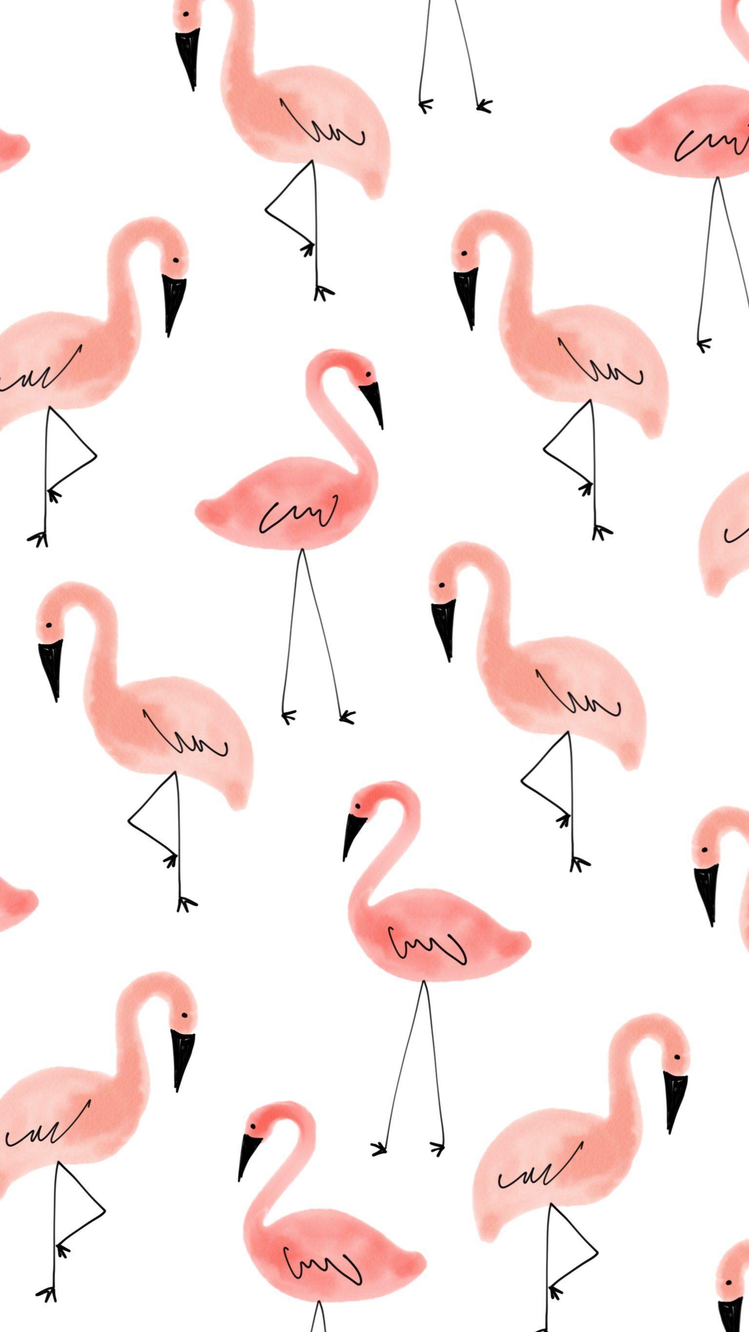 1537x2732 Flamingos. Pretty wallpaper iphone, Flamingo wallpaper, Pretty wallpaper