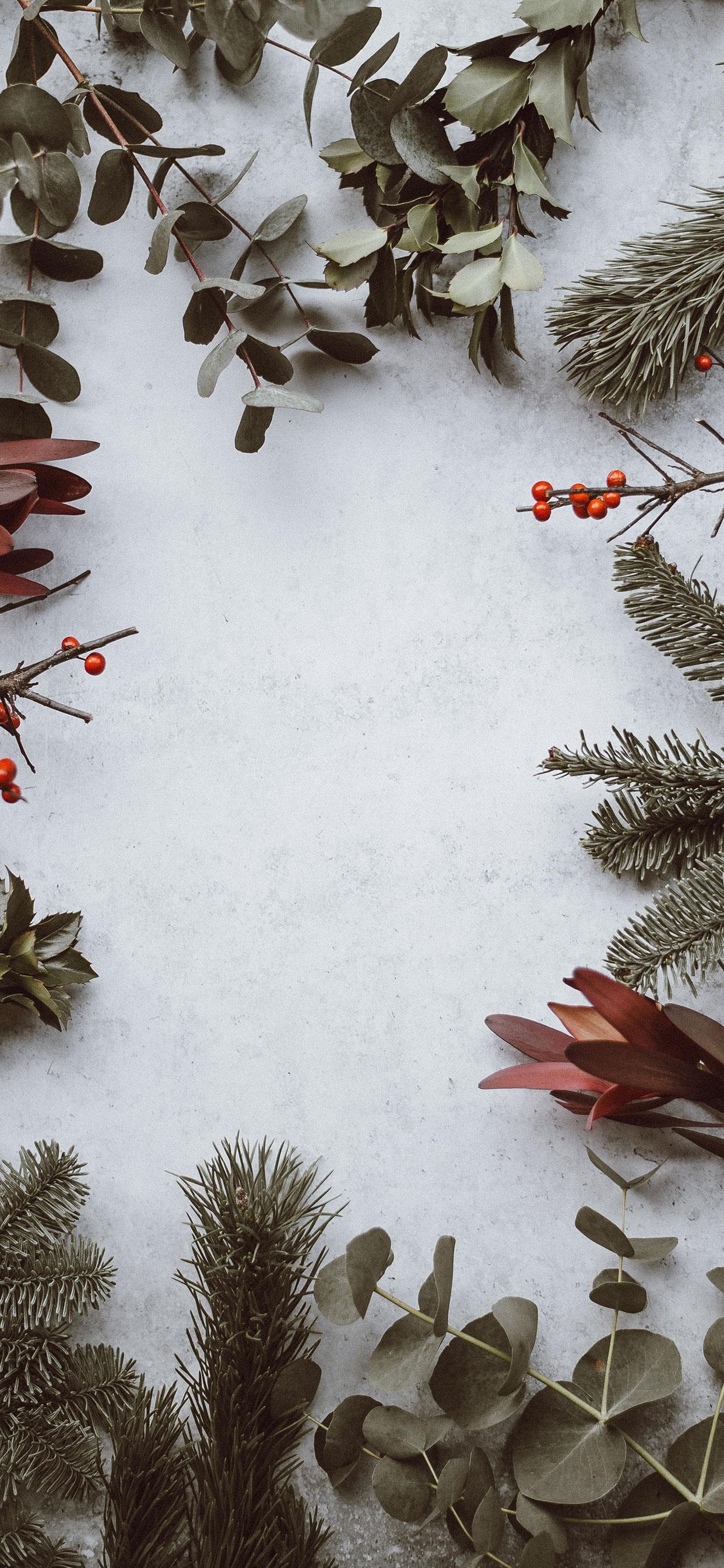 1242x2688 Stunning iPhone XS and XS Max Christmas Wallpaper