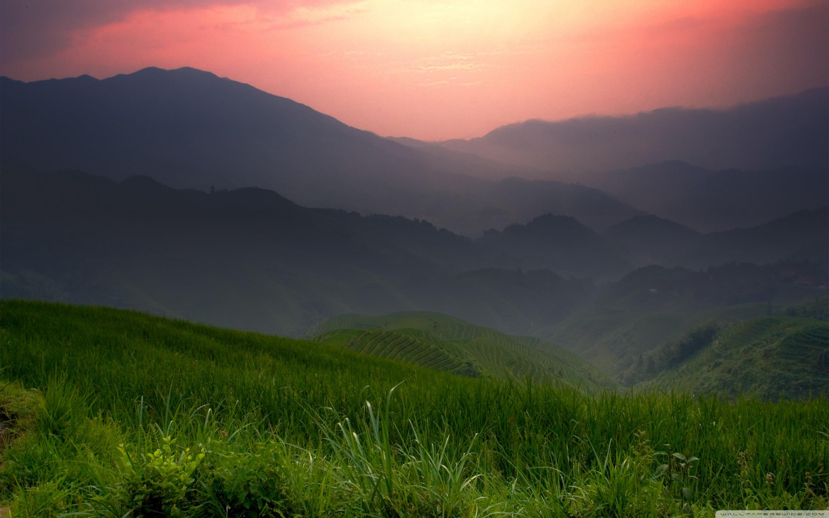 2880x1800 Grasslands Ultra HD Desktop Background Wallpaper for 4K UHD TV : Widescreen & UltraWide Desktop & Laptop