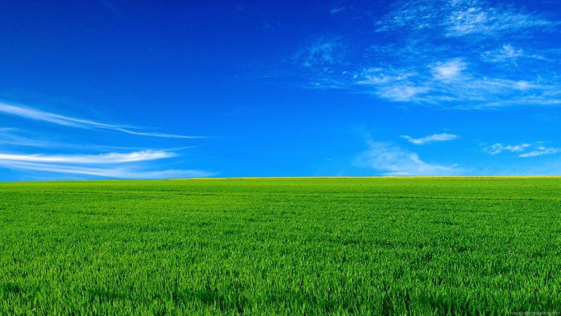 African Grassland Wallpapers - Top Free African Grassland Backgrounds ...