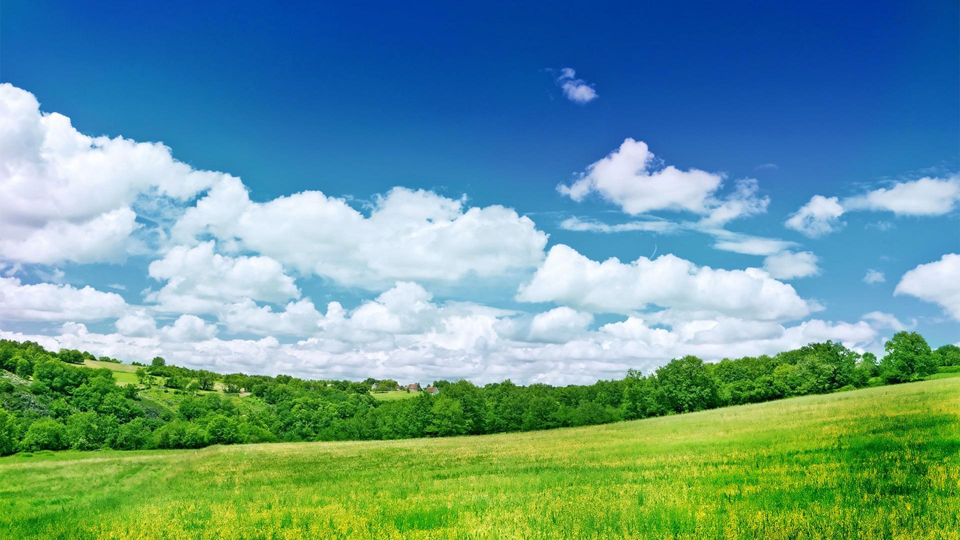 1920x1080 Free download Grassland Scenery Background Widescreen and HD background Wallpaper [1920x1080] for your Desktop, Mobile & Tablet. Explore Grassland Wallpaper. Grass Wallpaper Colors, Grass Wallpaper